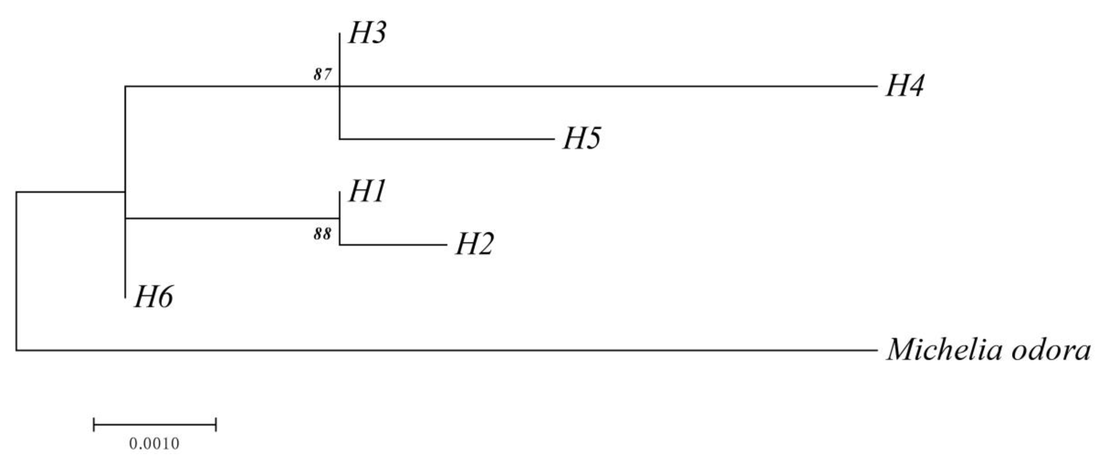 Forests 11 00469 g006