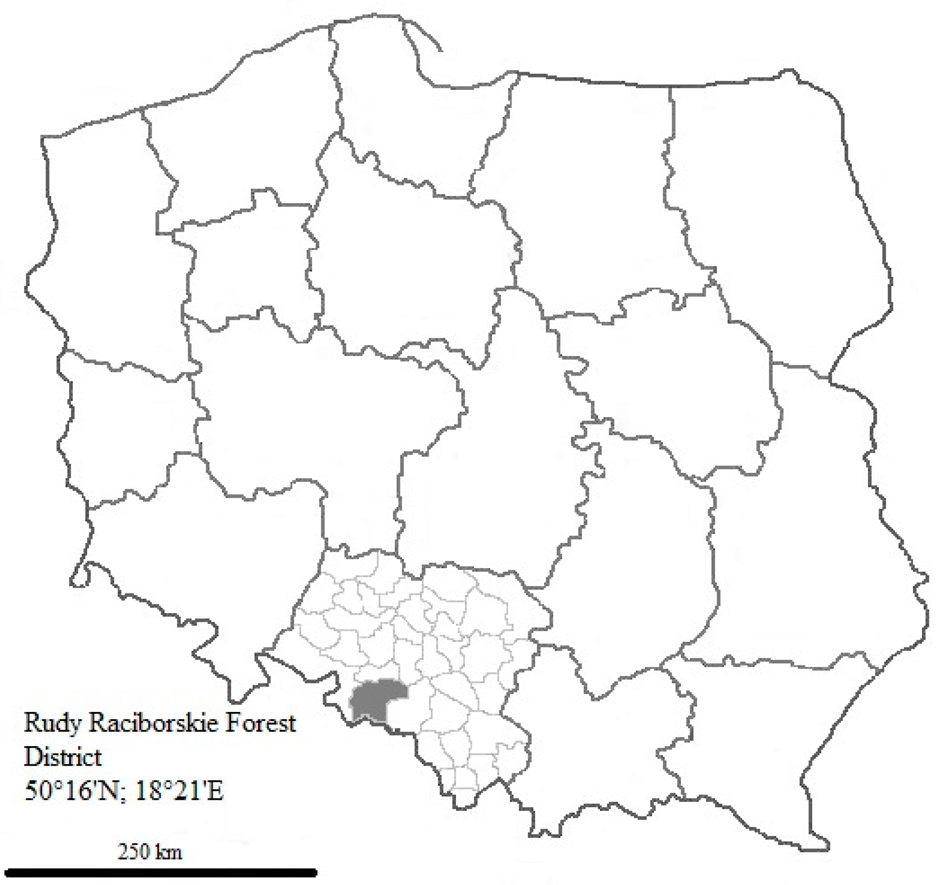 Forests 11 00471 g001