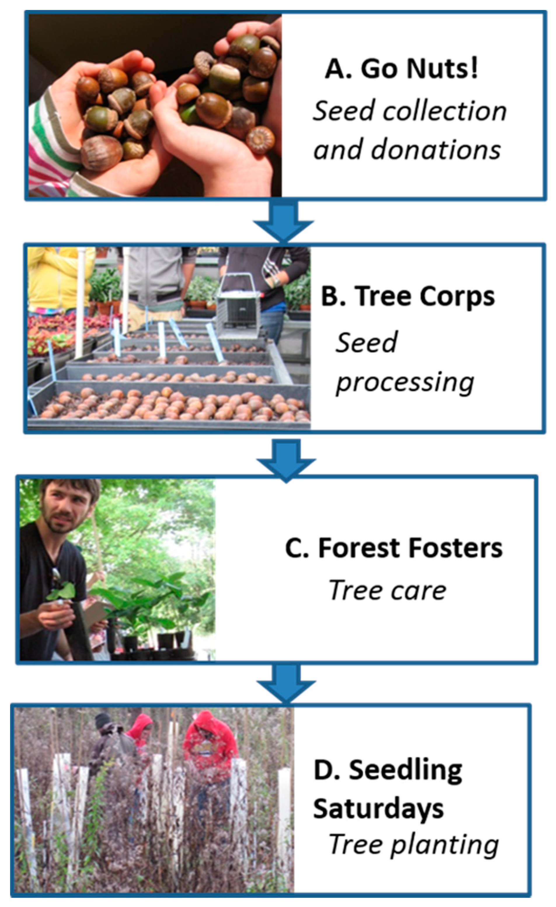 Forests 11 00474 g001