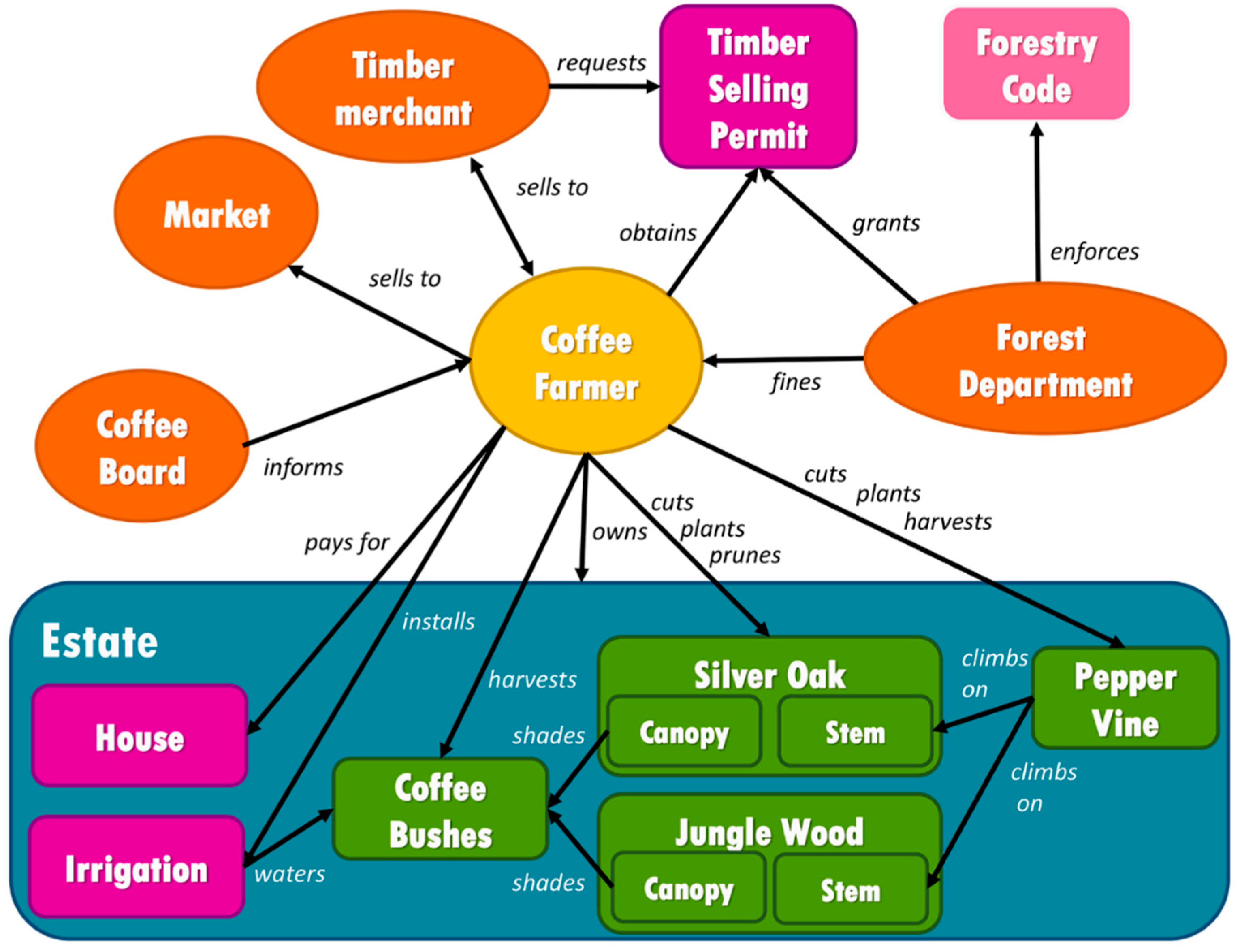 Forests 11 00480 g001 Forests 11 00480 g001