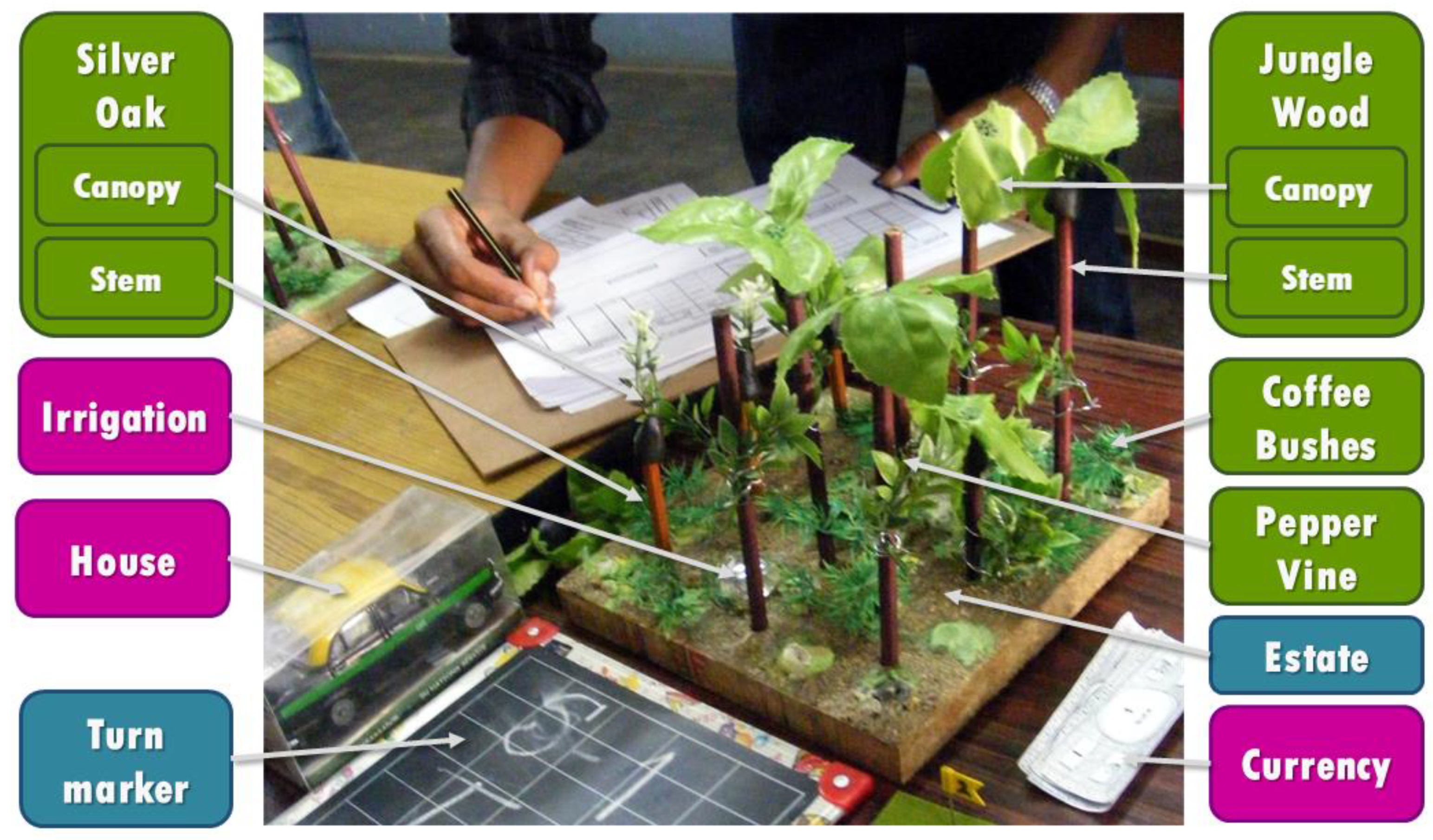 Forests 11 00480 g002 Forests 11 00480 g002