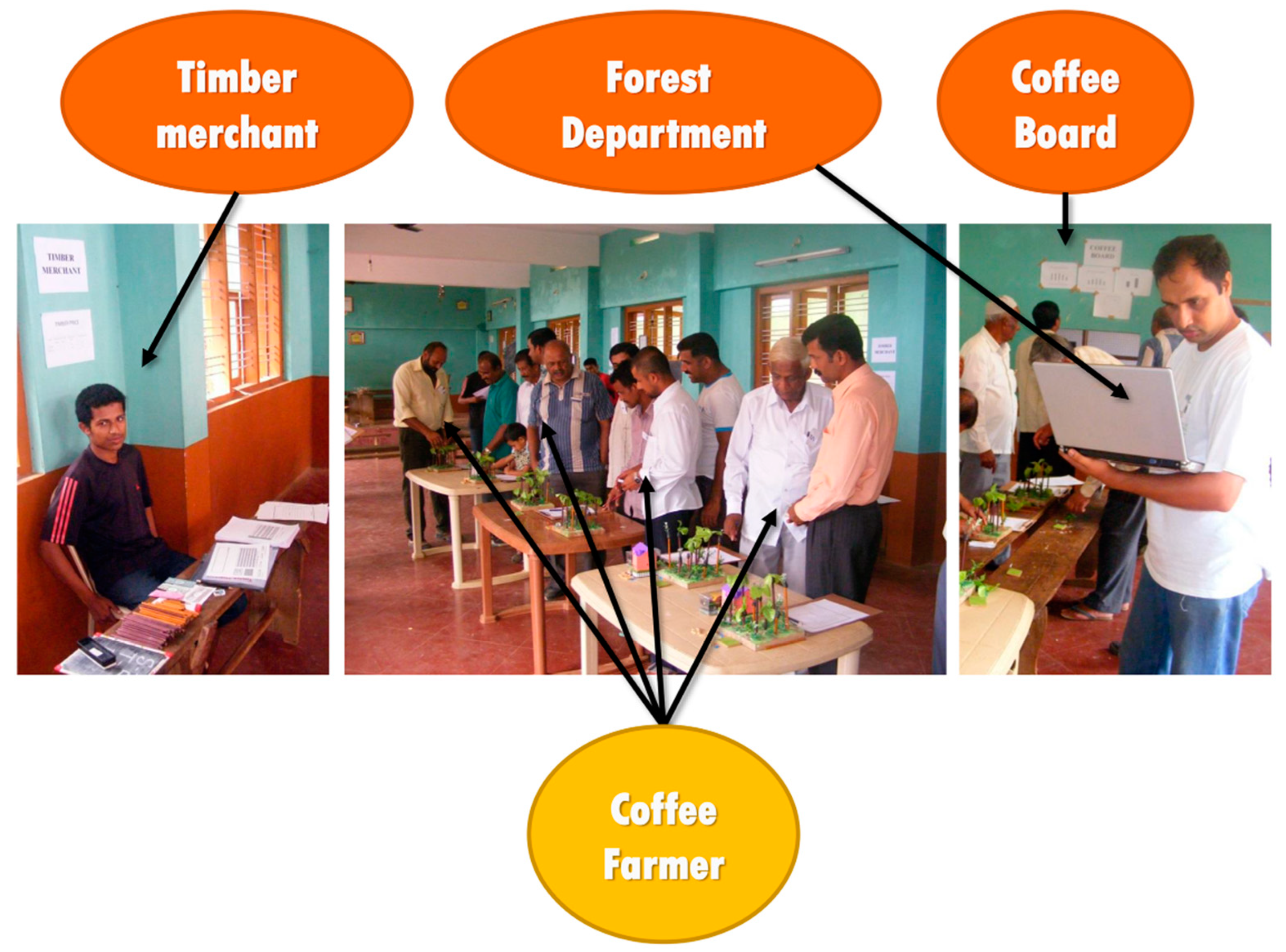 Forests 11 00480 g003 Forests 11 00480 g003