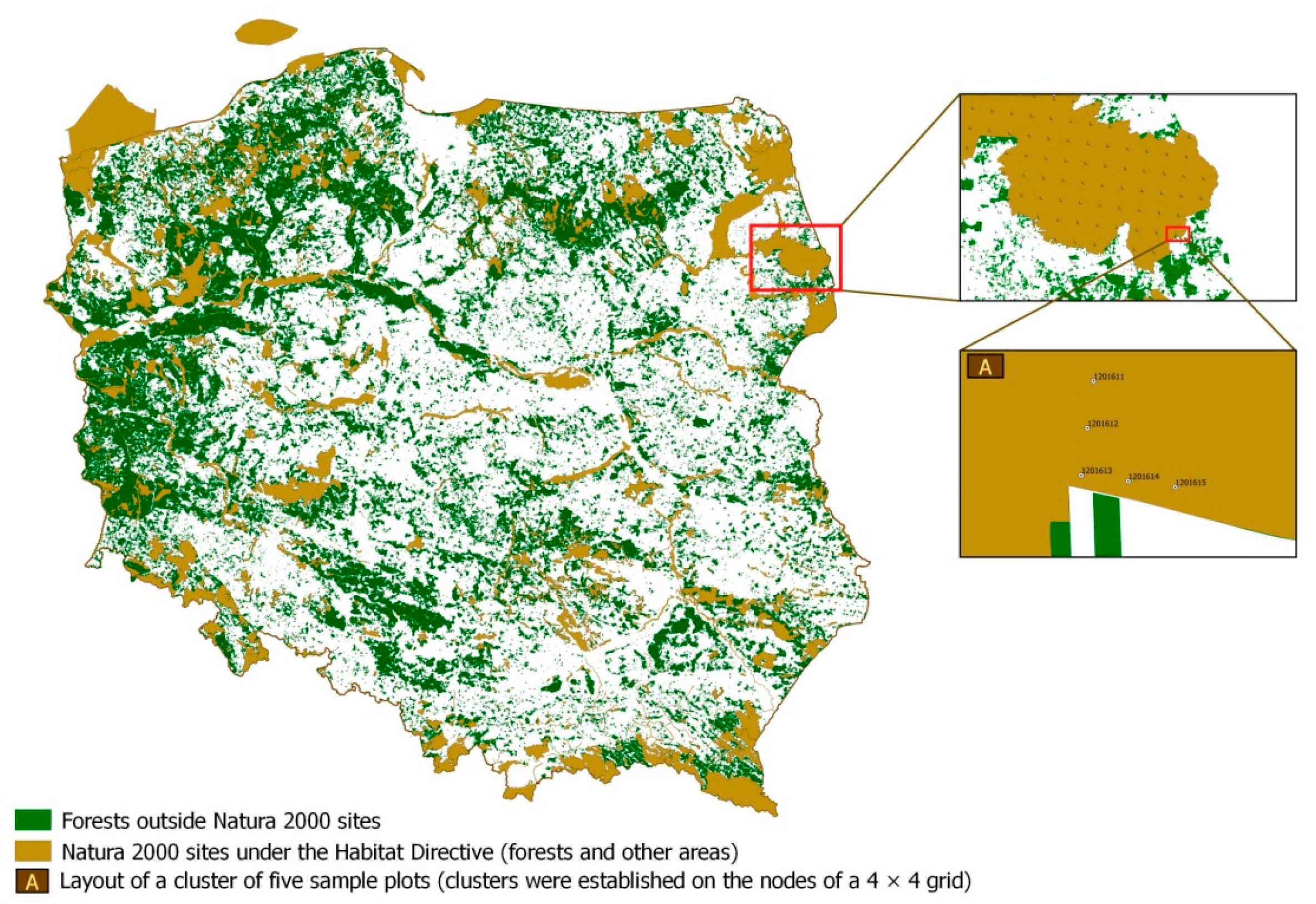 Forests 11 00486 g001 Forests 11 00486 g001