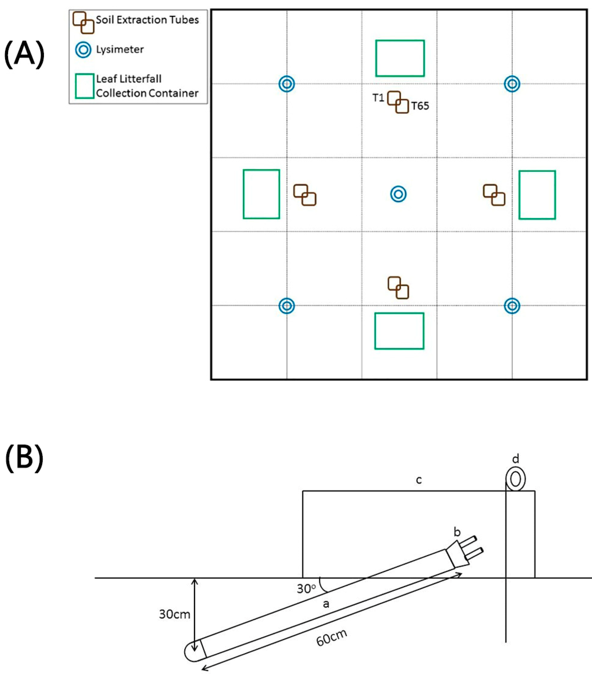 Forests 11 00489 g002