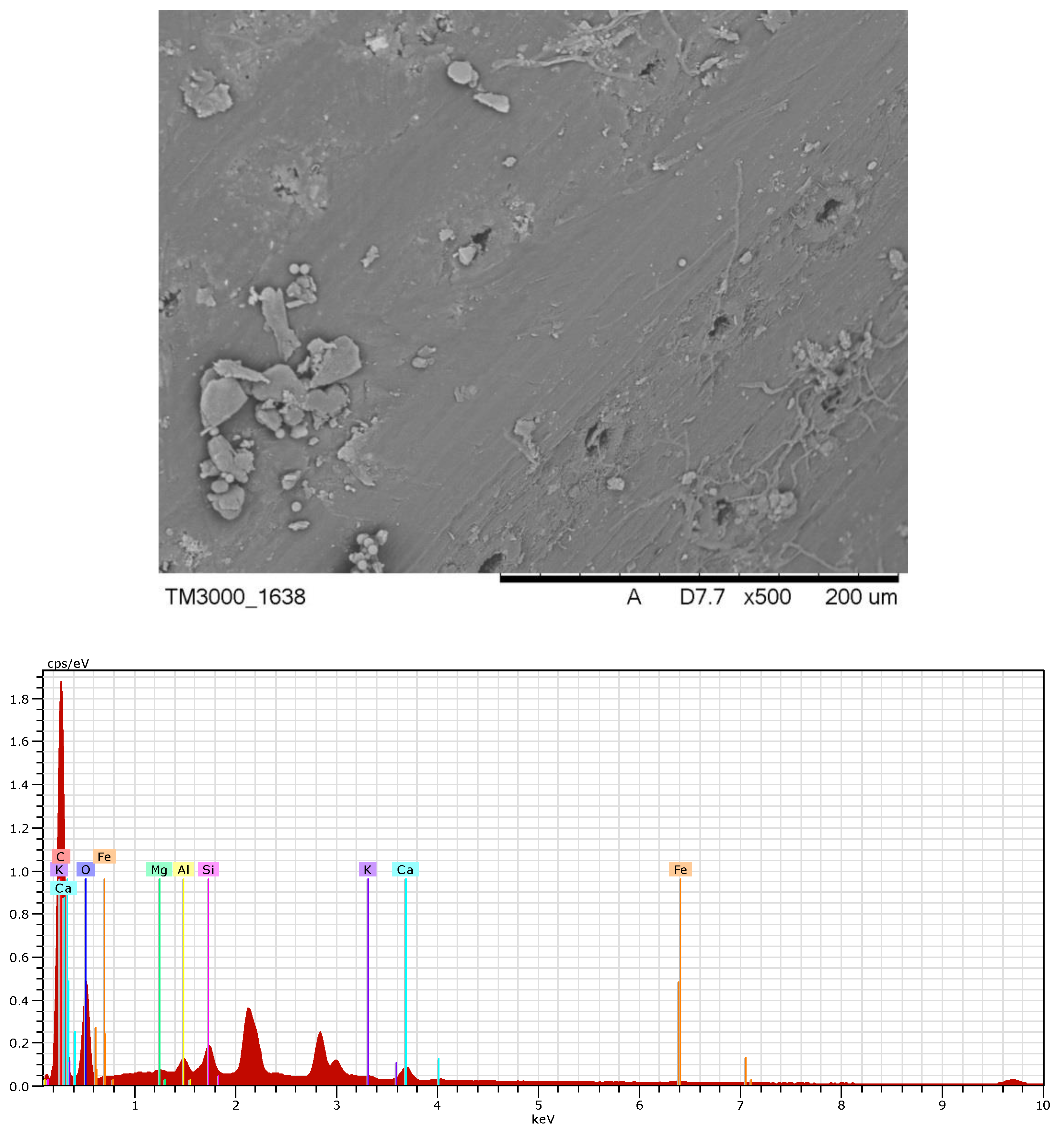 Forests 11 00499 g007