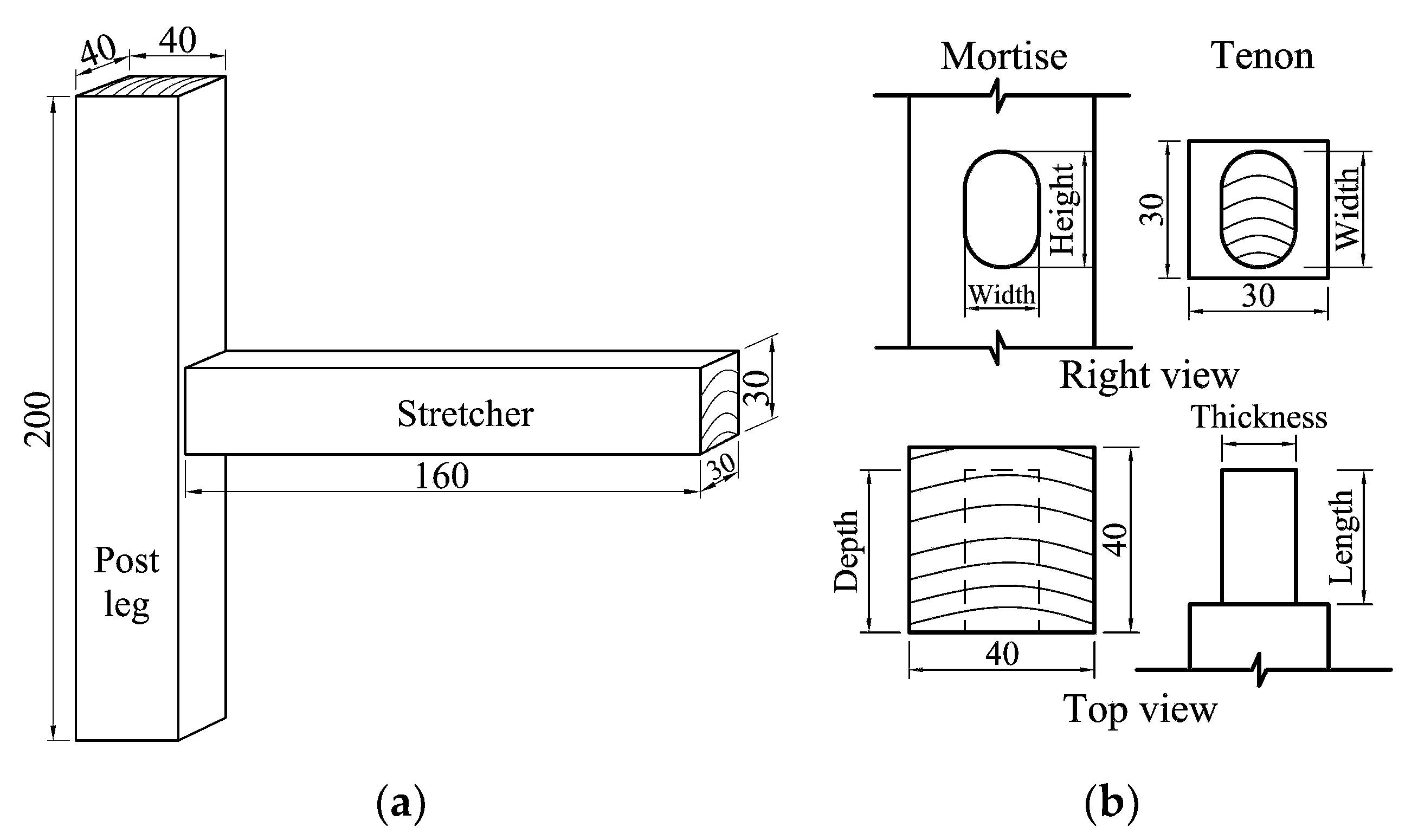 Forests 11 00501 g001 Forests 11 00501 g001