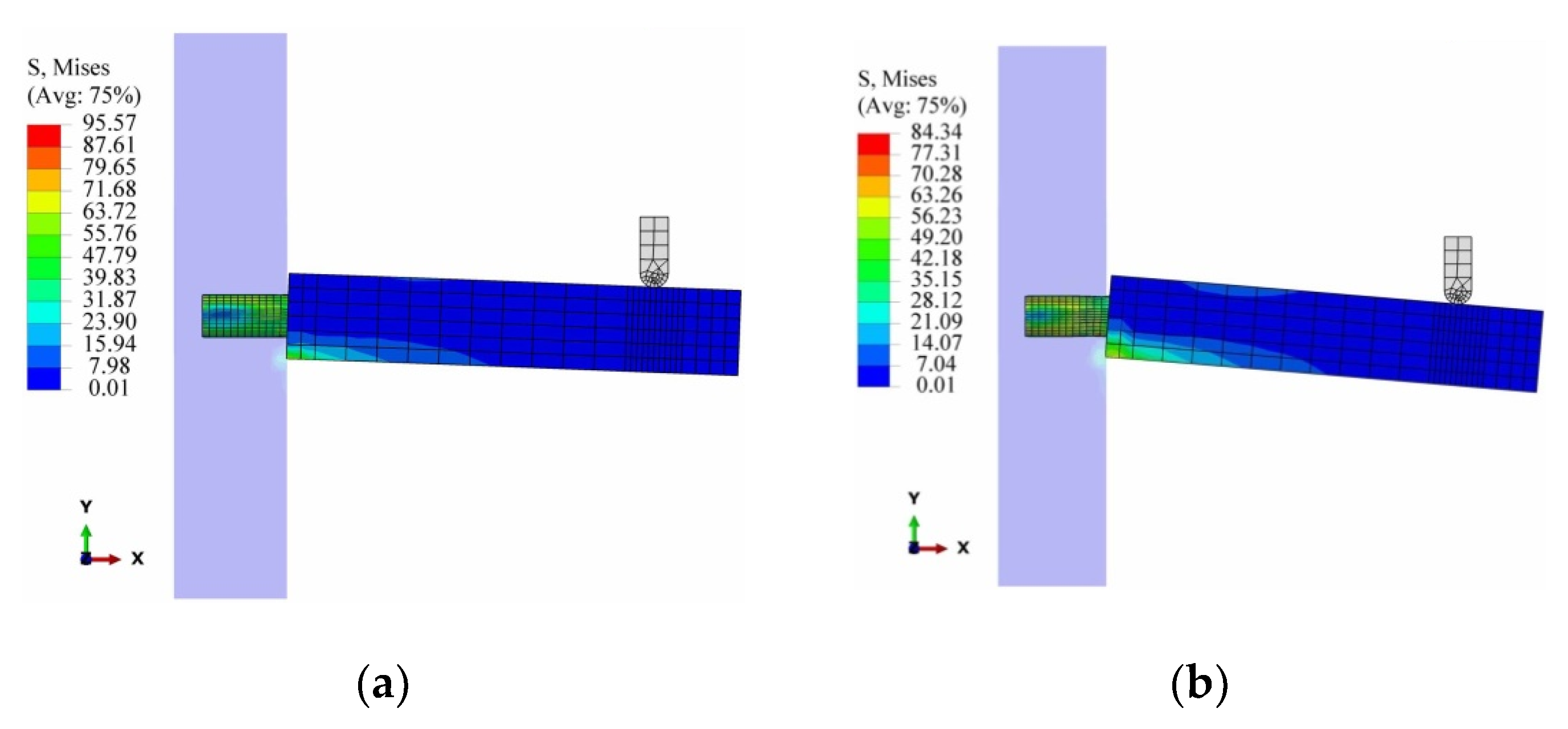 Forests 11 00501 g004a Forests 11 00501 g004a