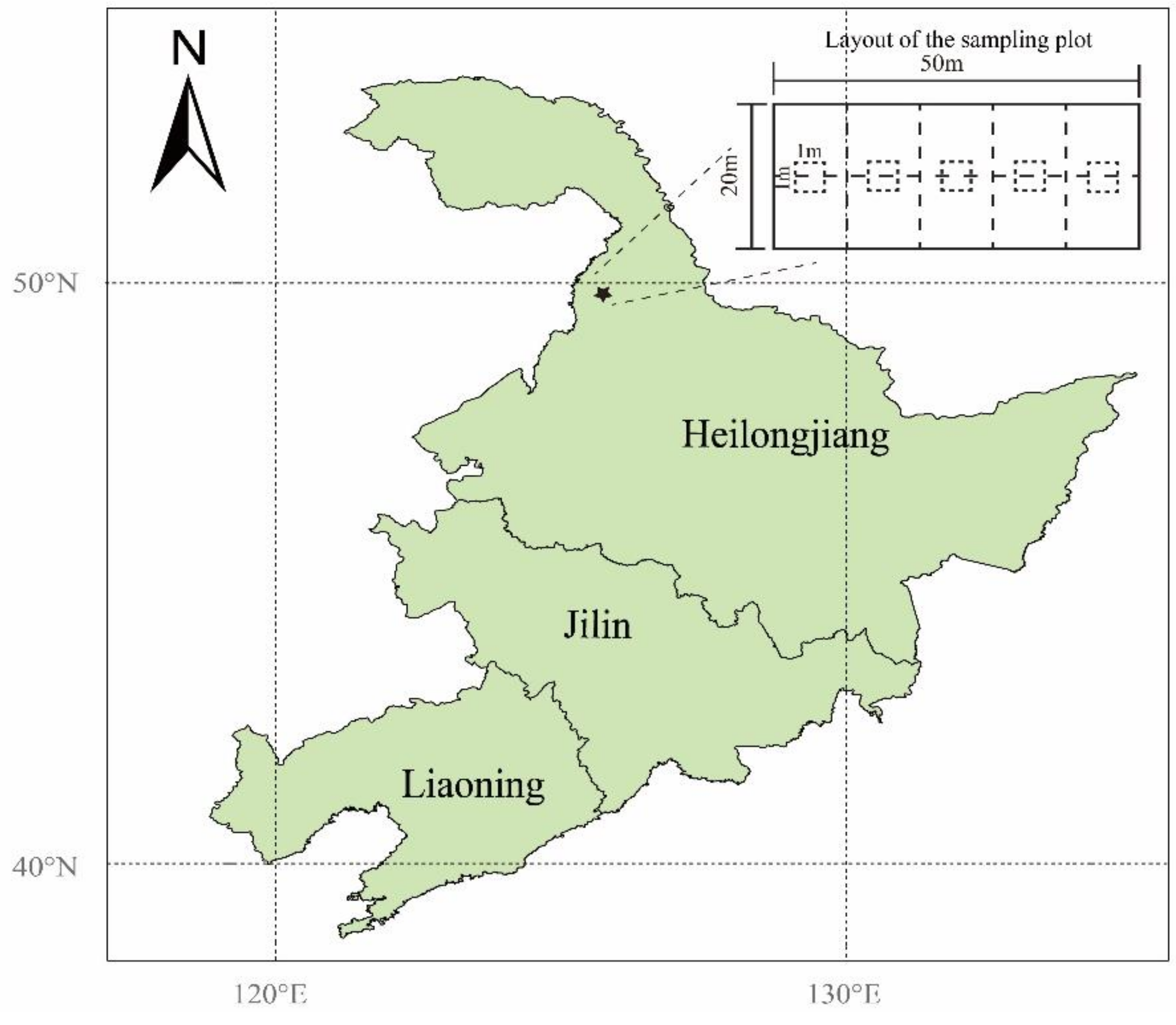 Forests 11 00512 g001