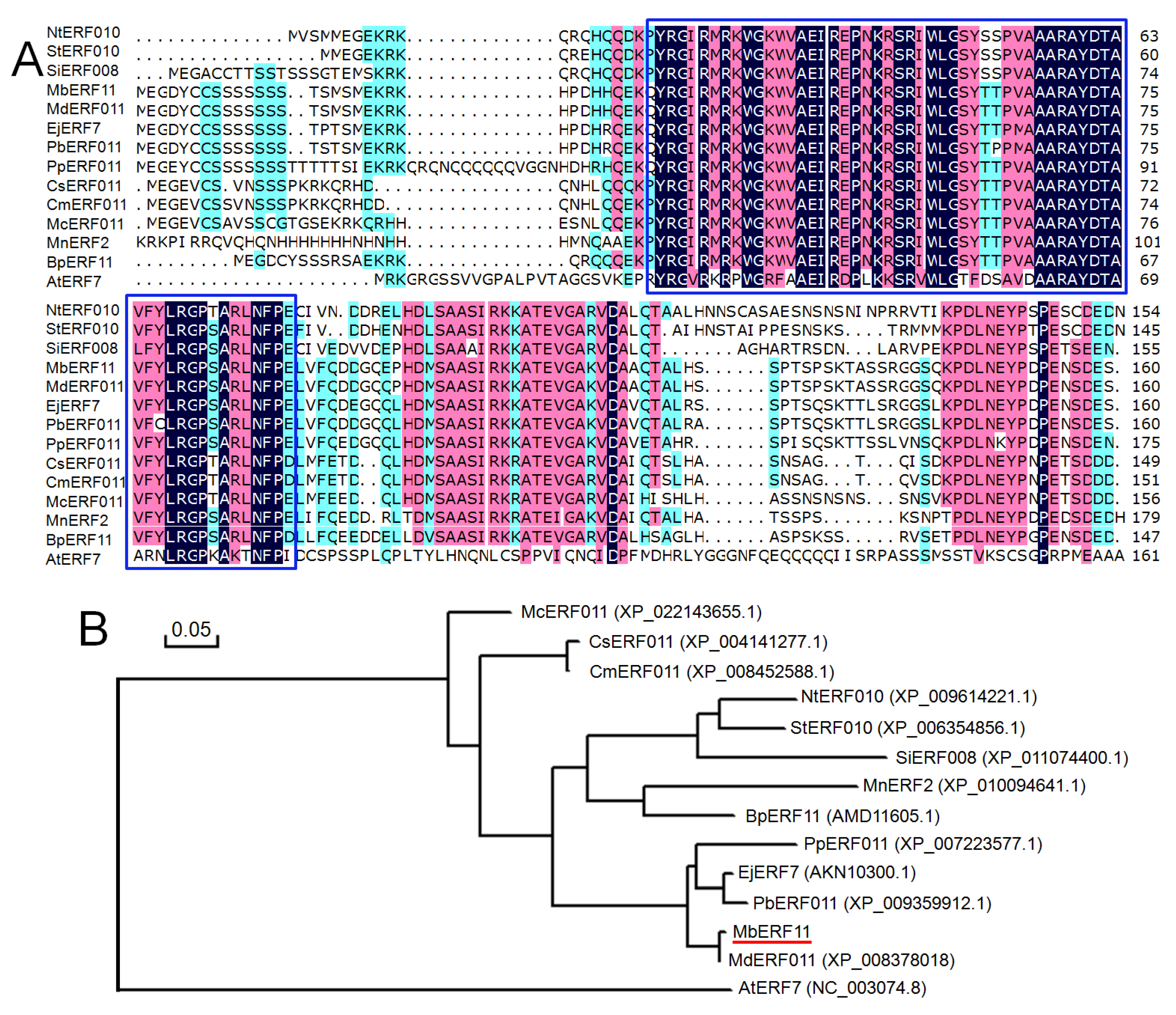 Forests 11 00514 g002 Forests 11 00514 g002