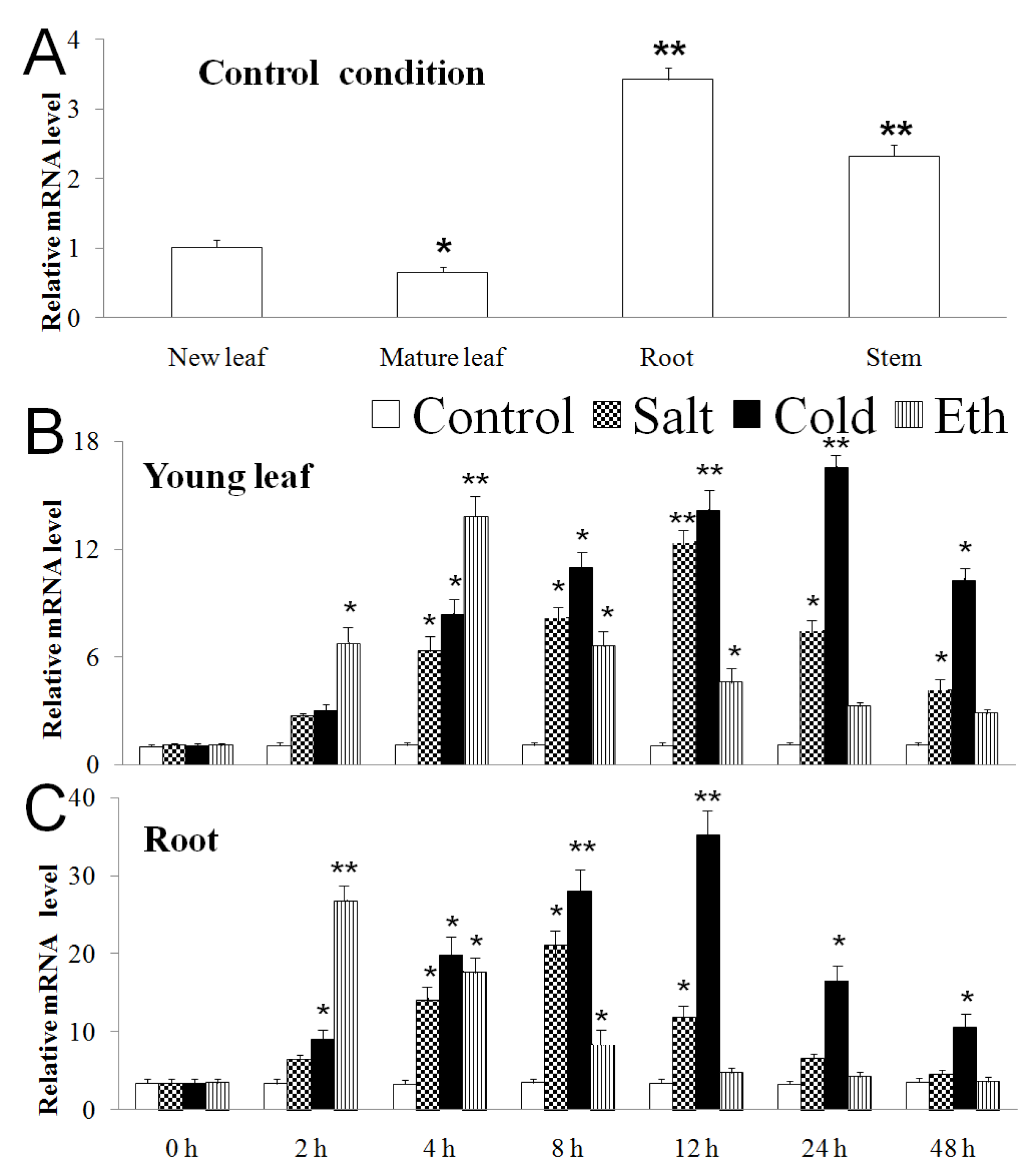 Forests 11 00514 g004 Forests 11 00514 g004