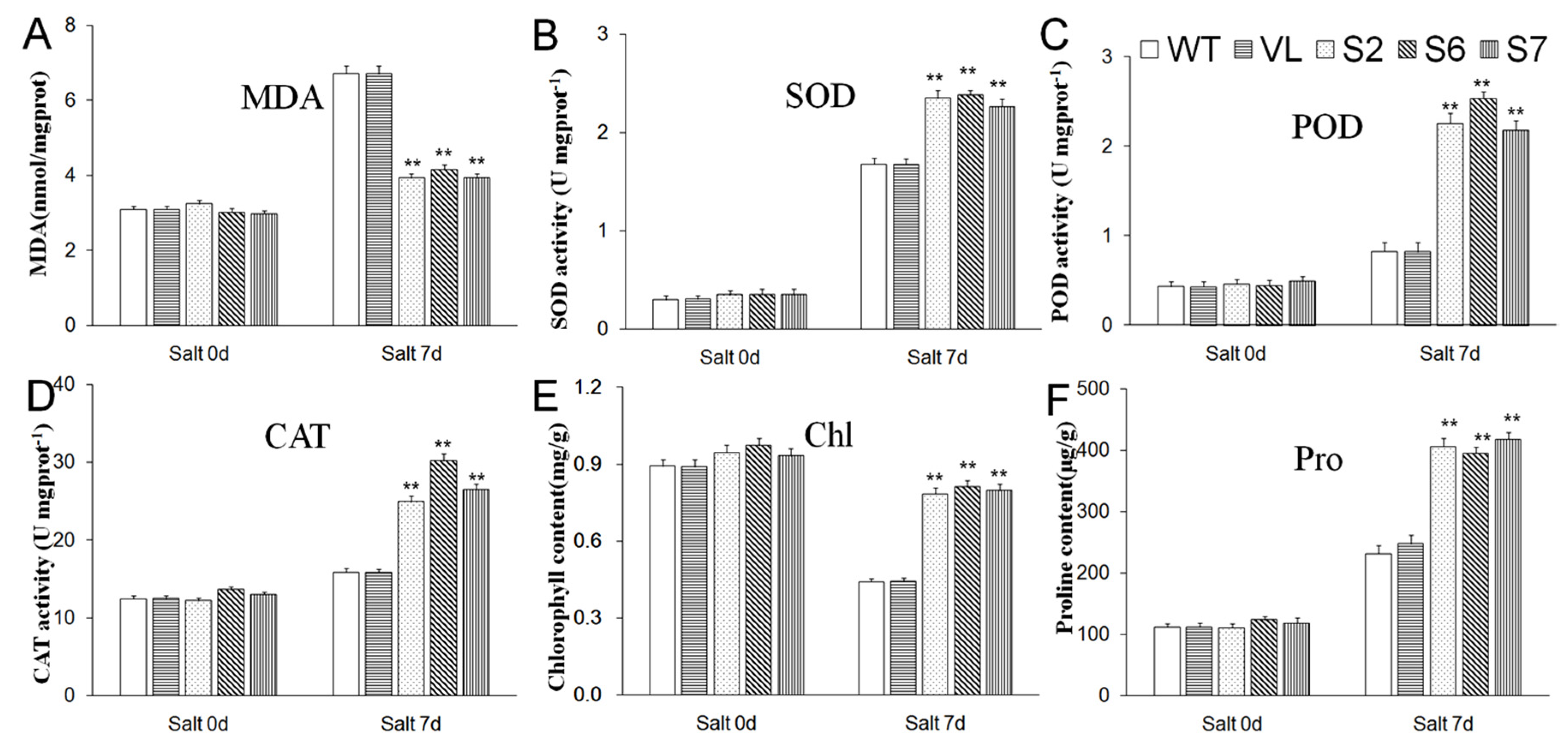 Forests 11 00514 g008 Forests 11 00514 g008