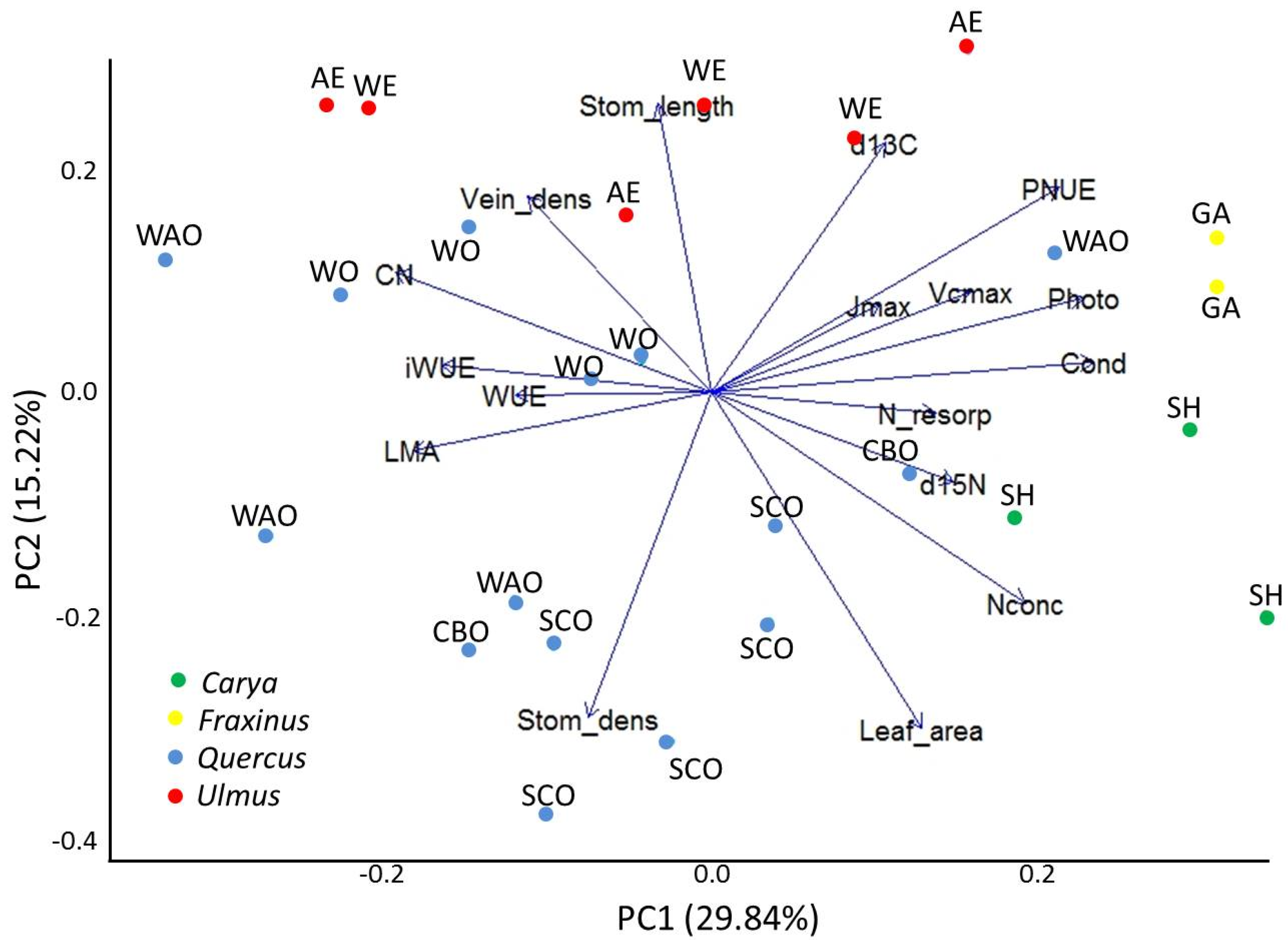 Forests 11 00519 g004 Forests 11 00519 g004
