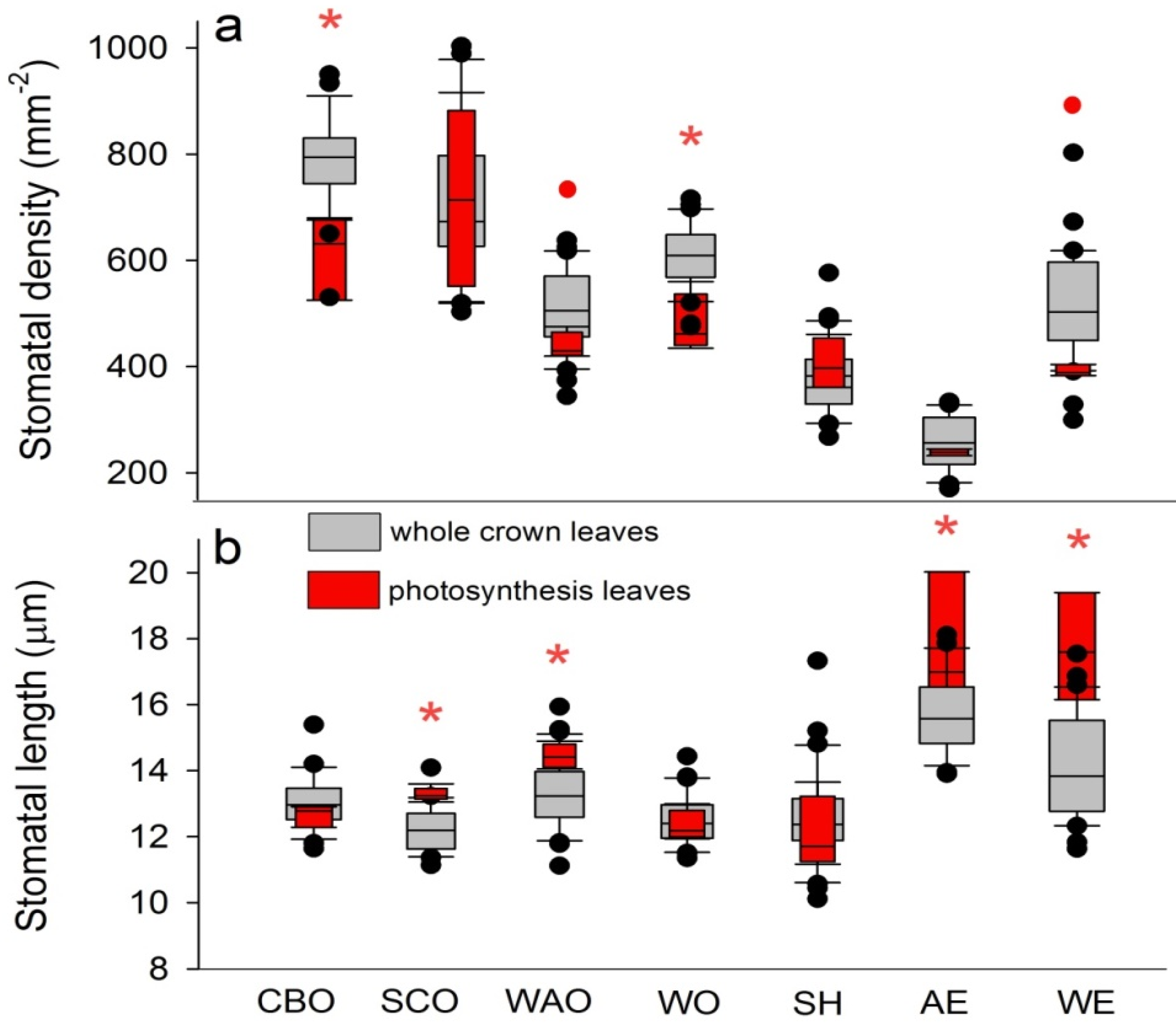 Forests 11 00519 g005 Forests 11 00519 g005