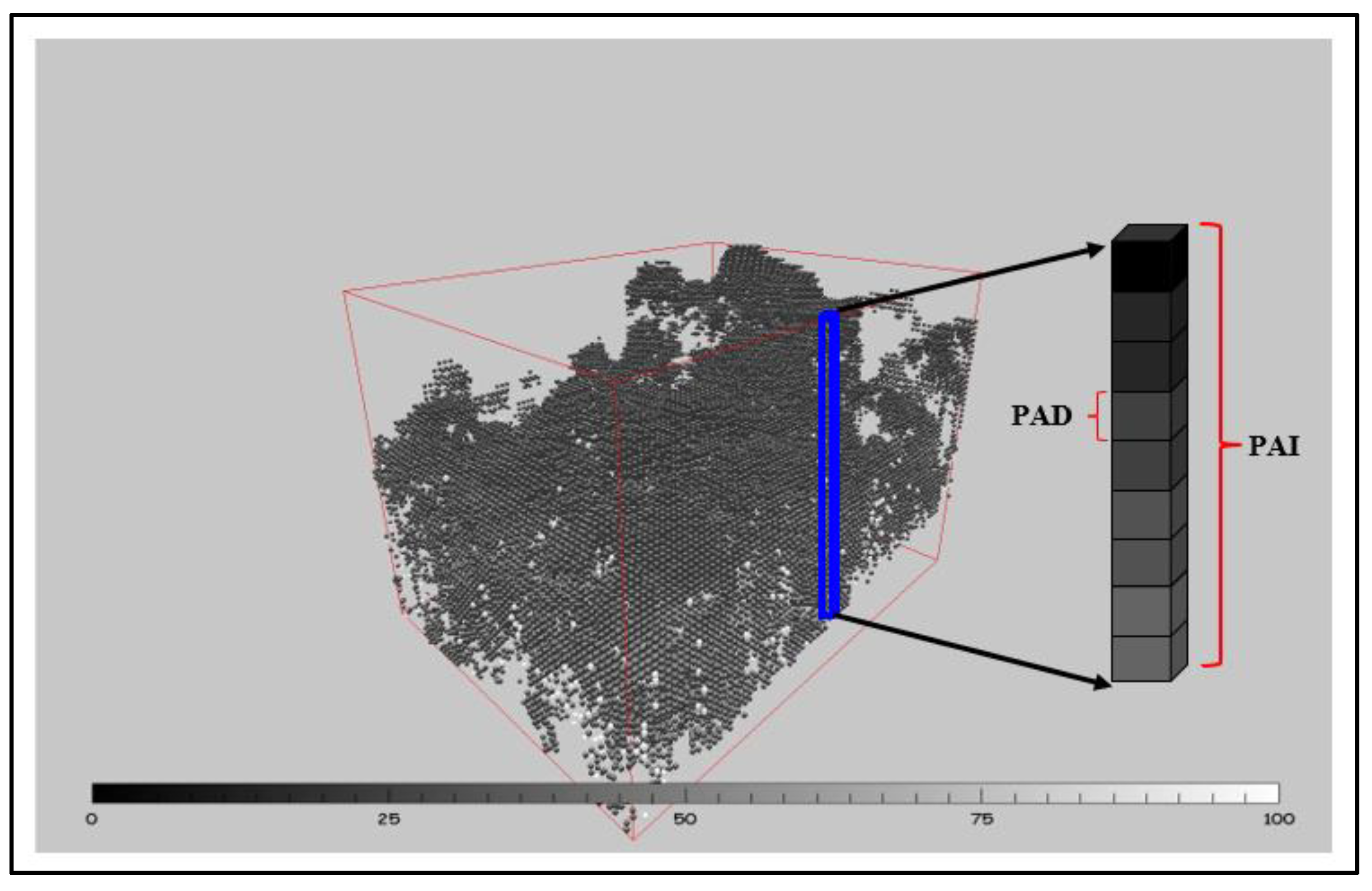 Forests 11 00520 g003
