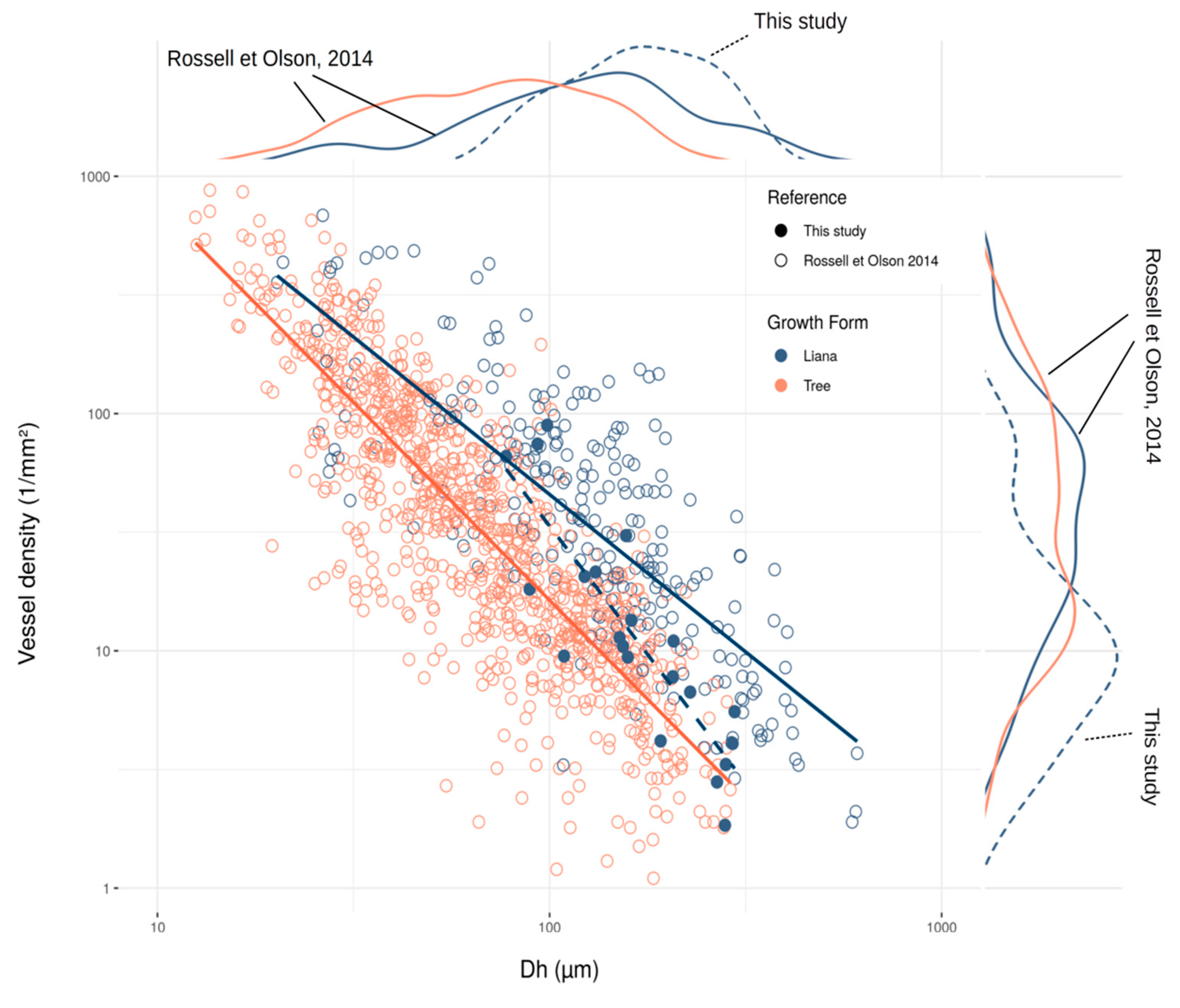 Forests 11 00523 g004 Forests 11 00523 g004