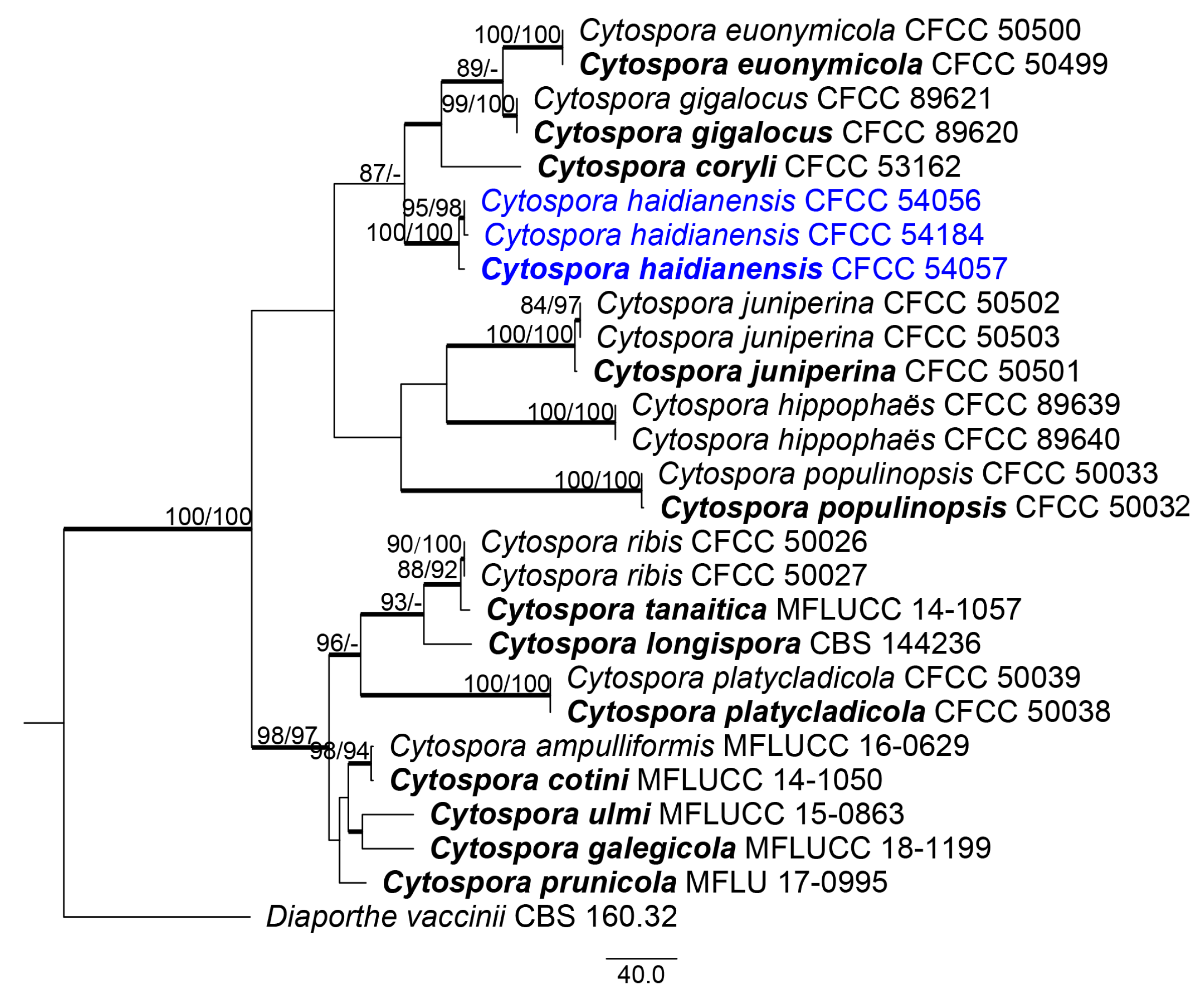Forests 11 00524 g002