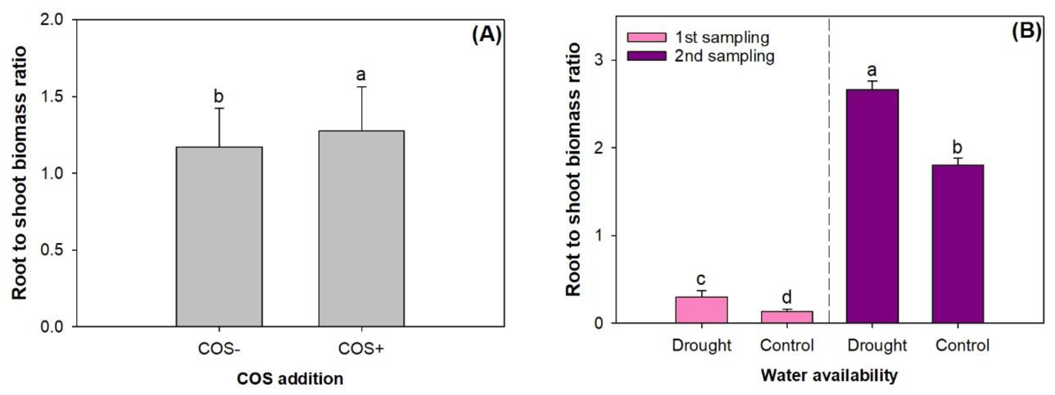 Forests 11 00526 g003 Forests 11 00526 g003