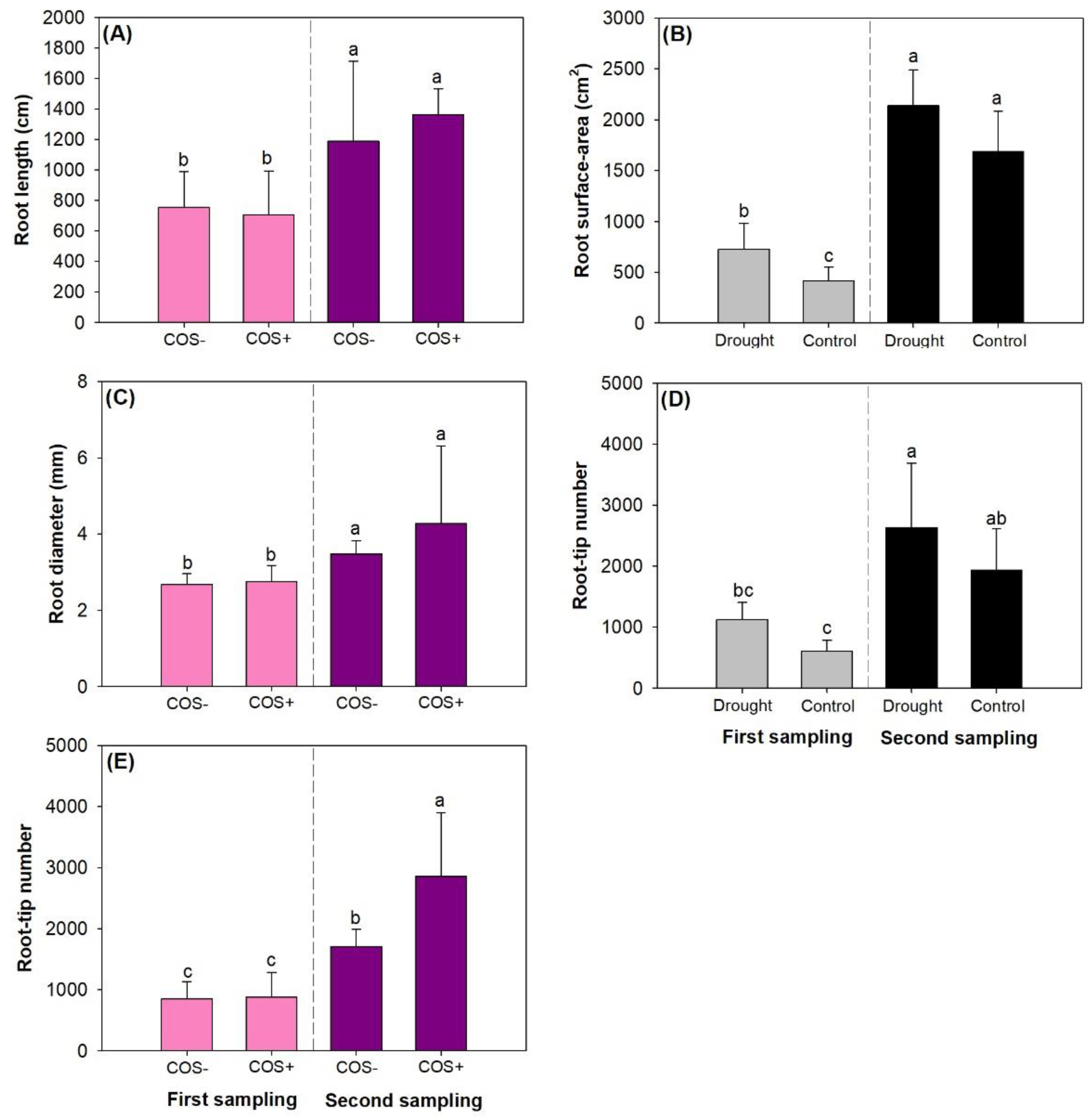 Forests 11 00526 g005 Forests 11 00526 g005