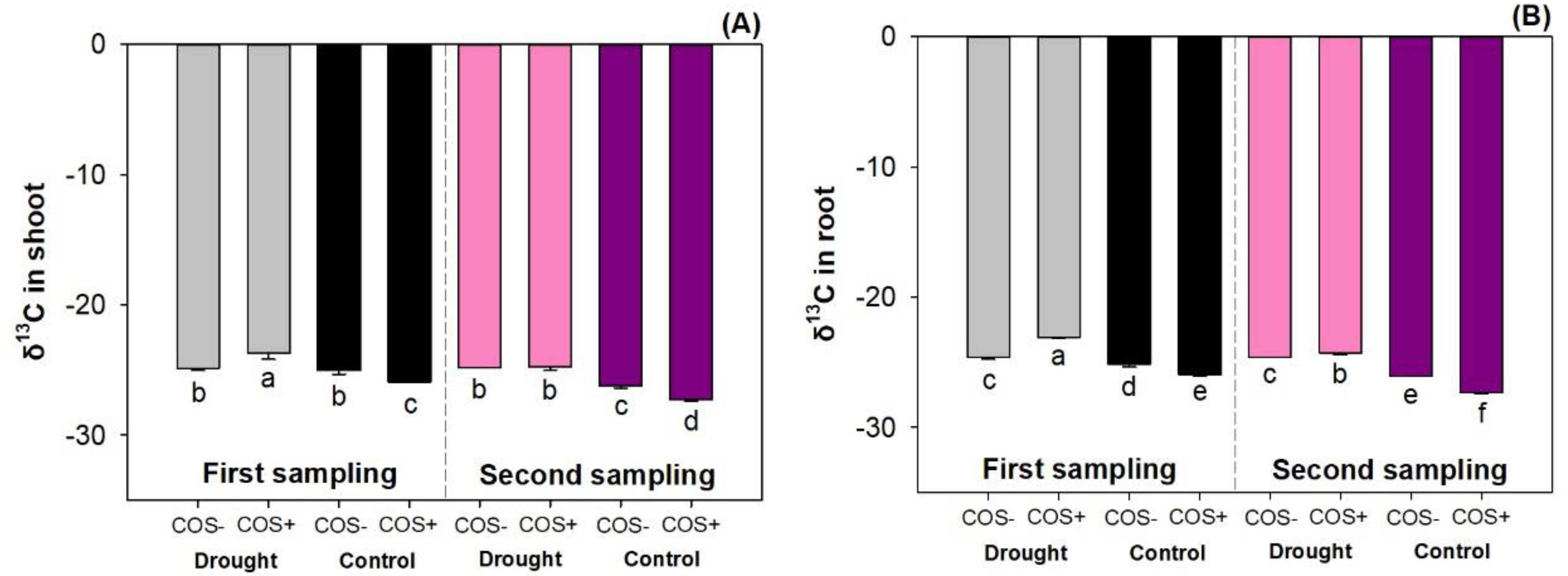 Forests 11 00526 g006 Forests 11 00526 g006