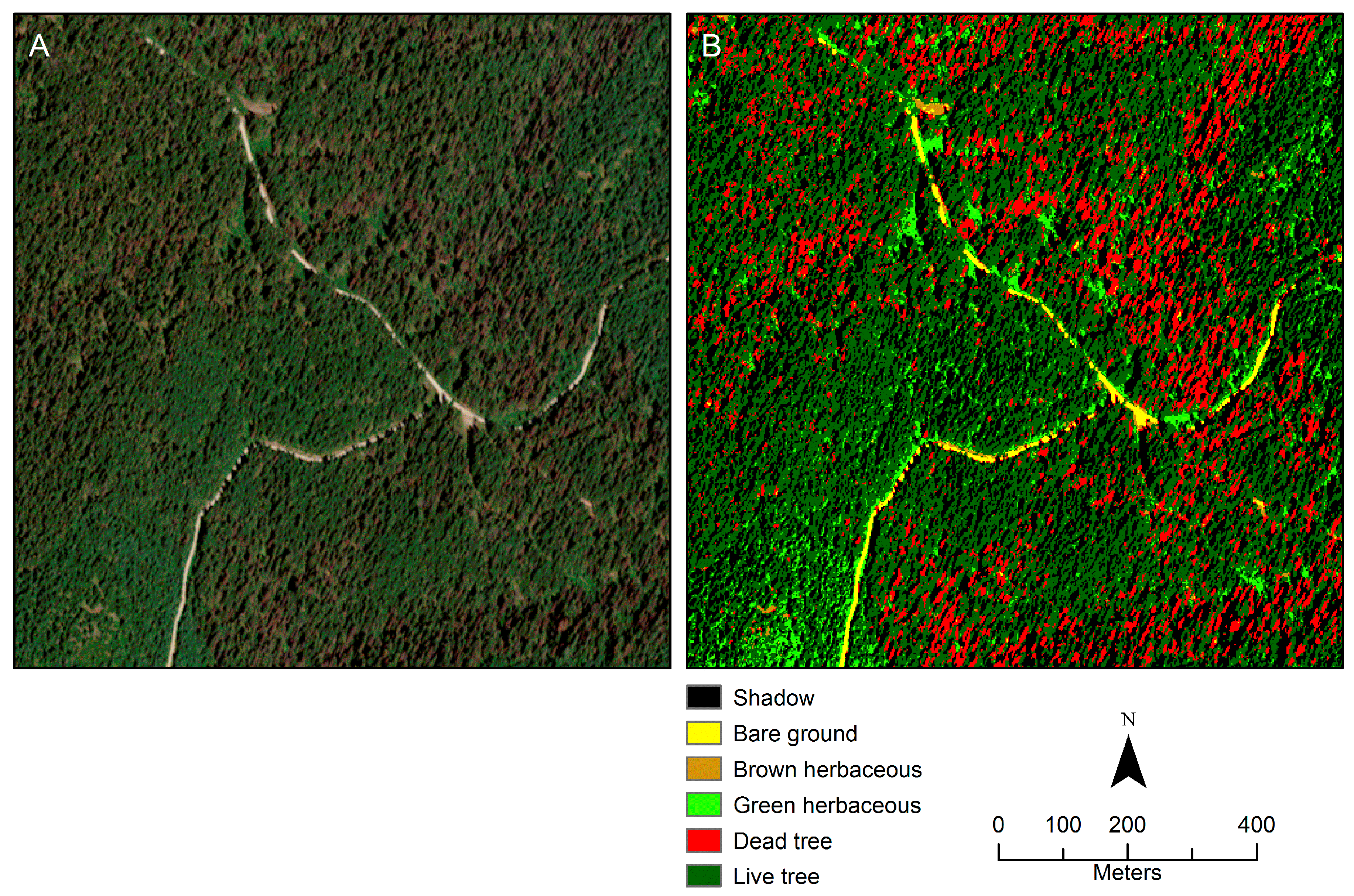 Forests 11 00529 g003