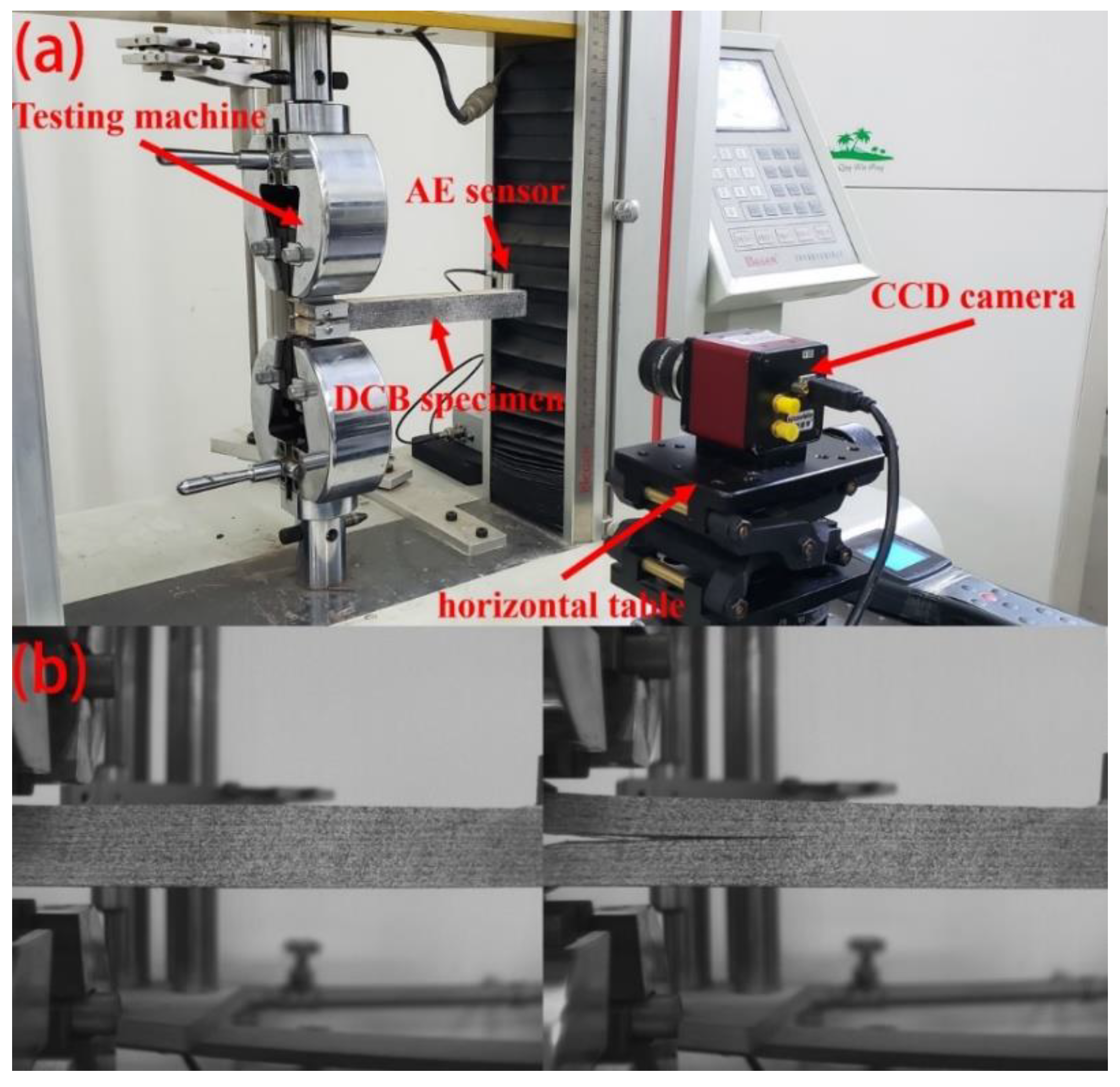 Forests 11 00534 g005 Forests 11 00534 g005