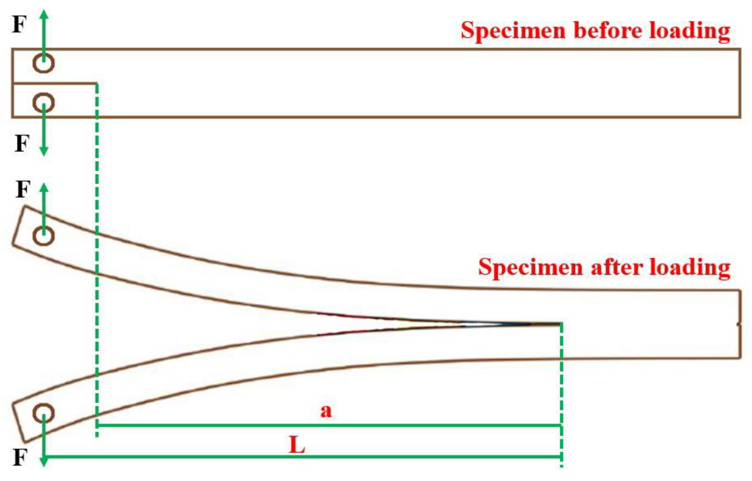 Forests 11 00534 g006 Forests 11 00534 g006