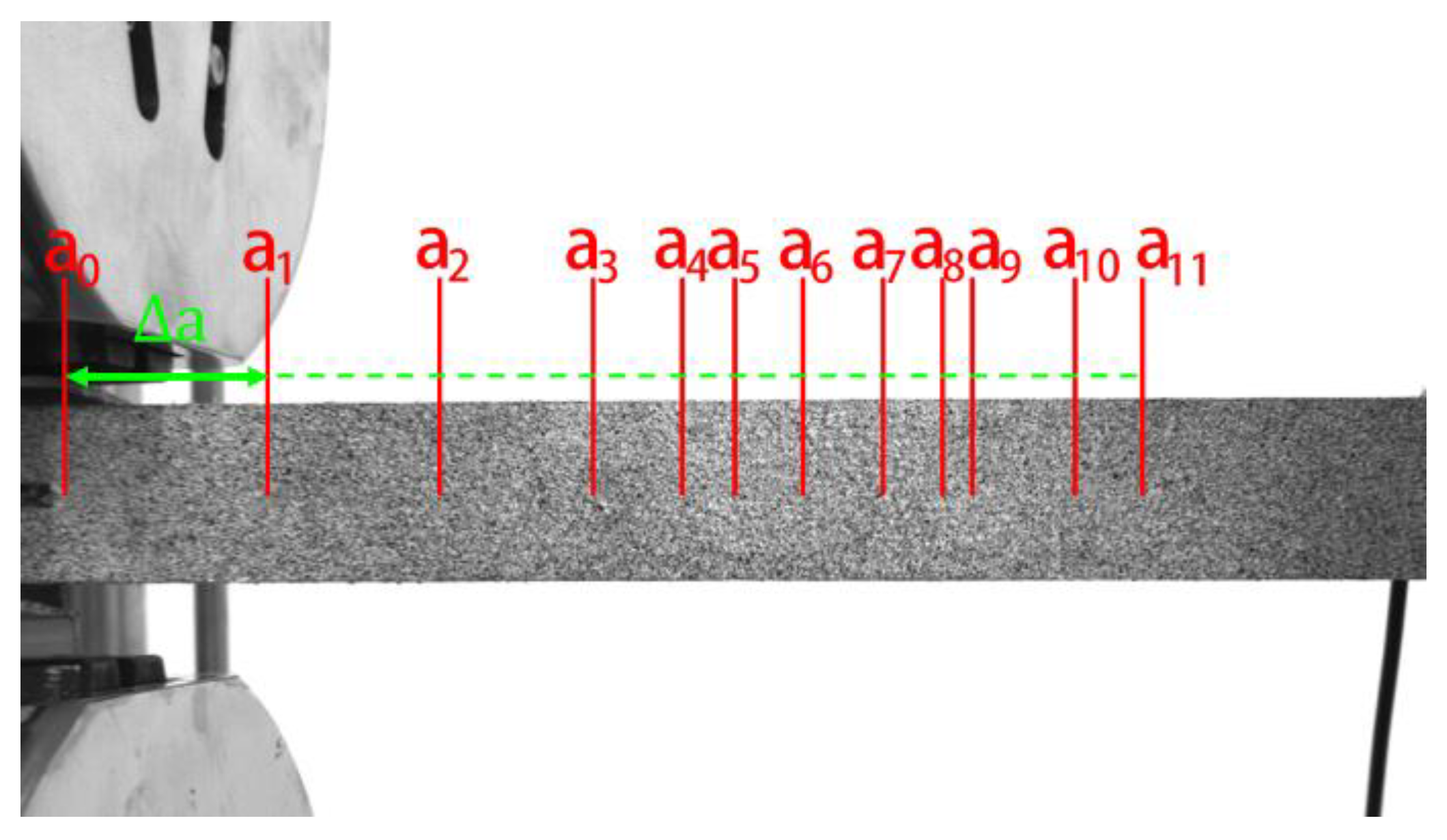 Forests 11 00534 g014 Forests 11 00534 g014