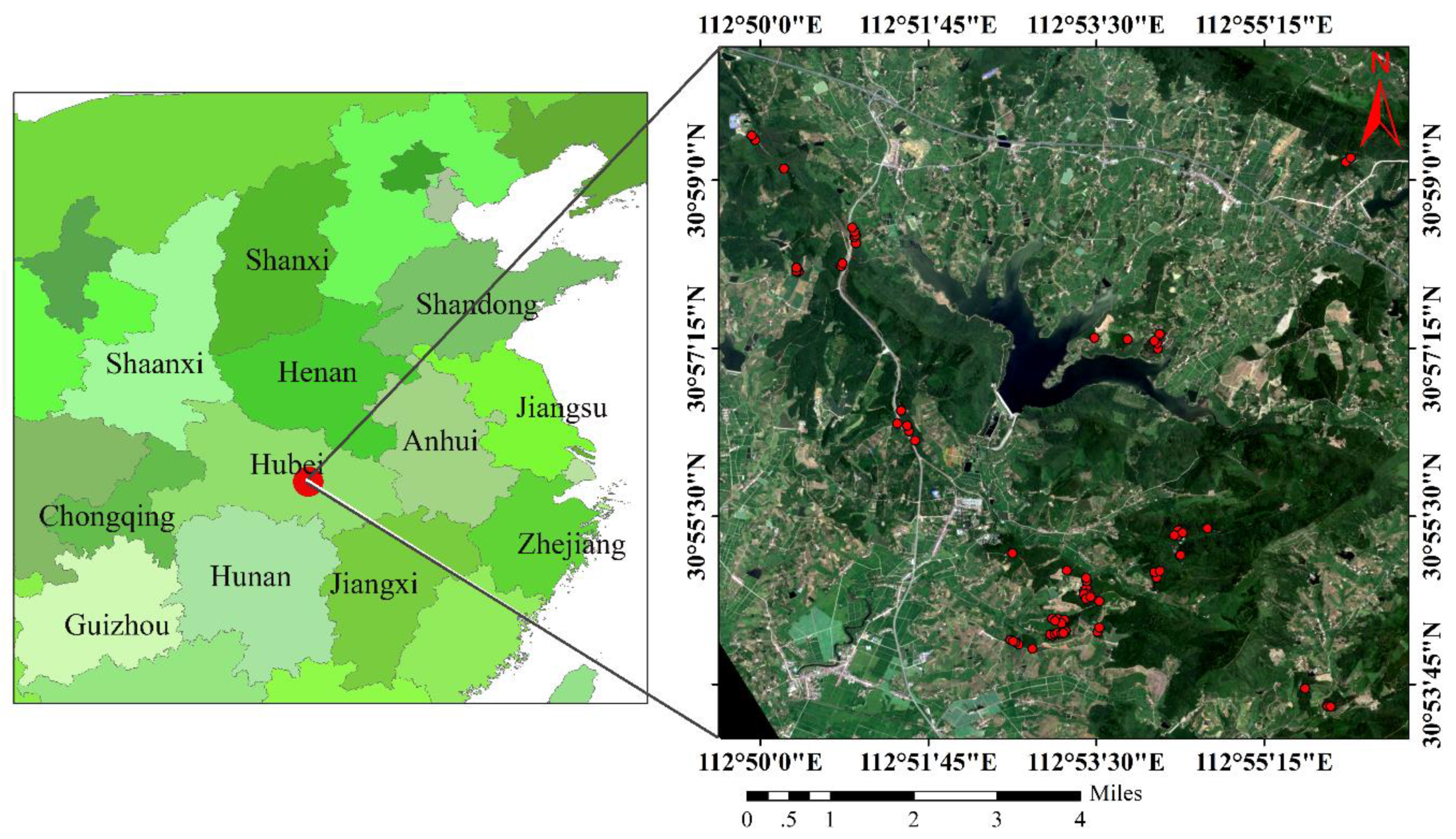 Forests 11 00540 g001 Forests 11 00540 g001