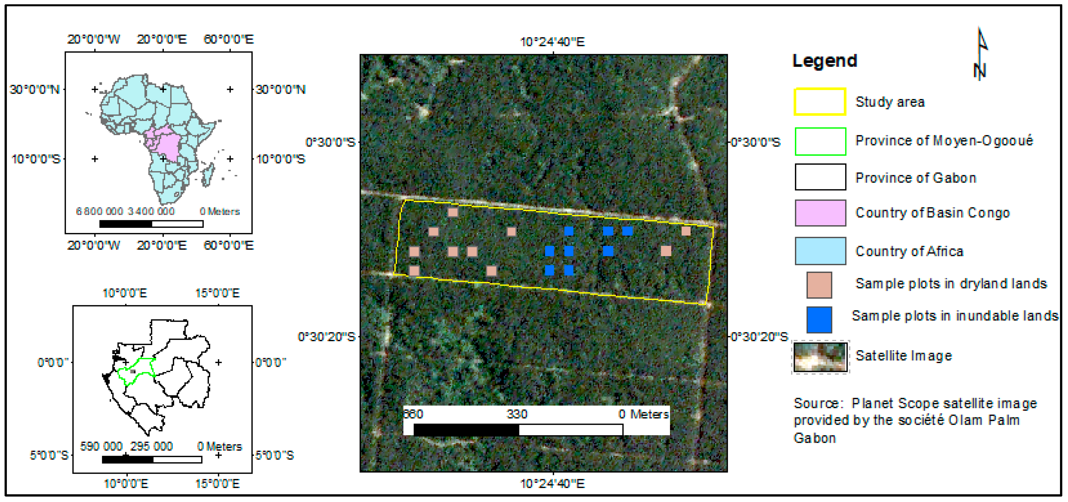 Forests 11 00544 g001