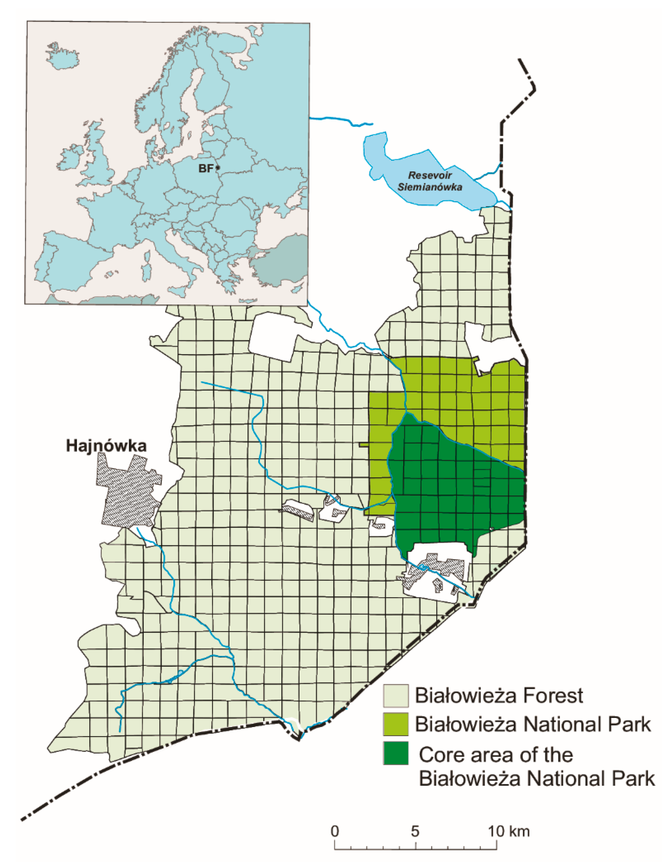 Forests 11 00545 g001 Forests 11 00545 g001