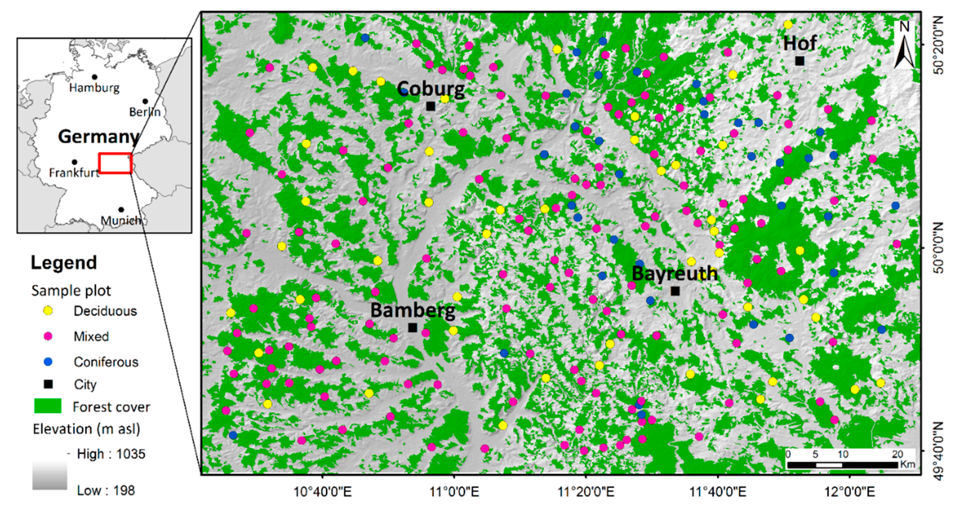 Forests 11 00546 g001