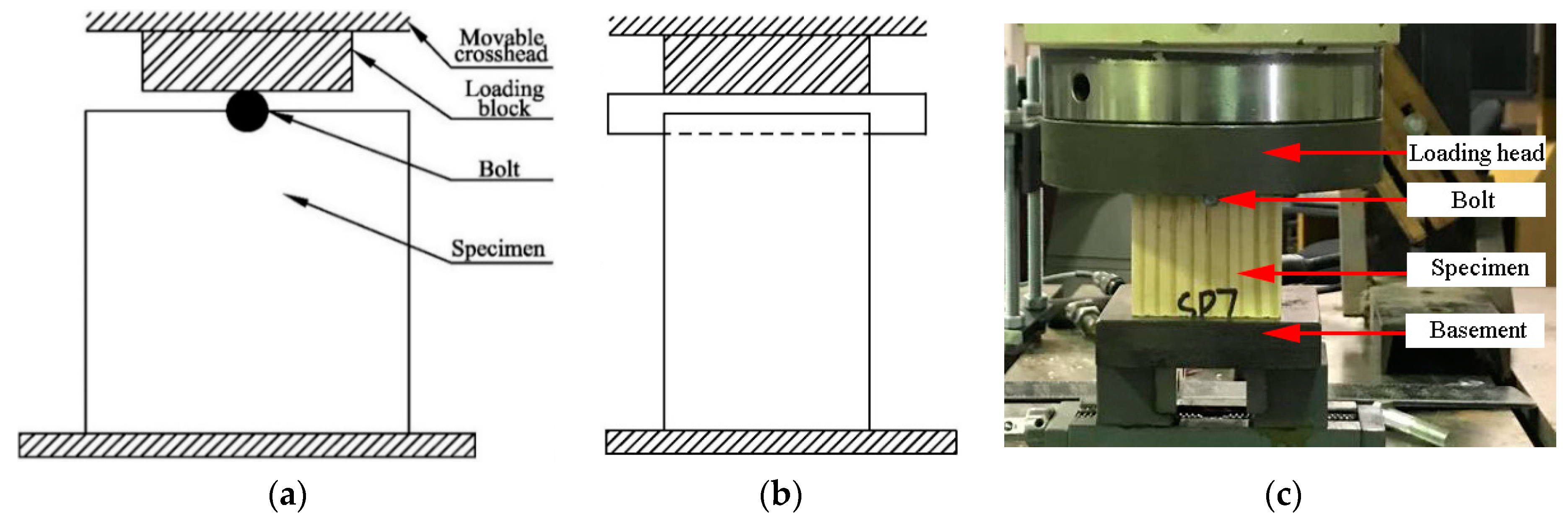 Forests 11 00551 g005