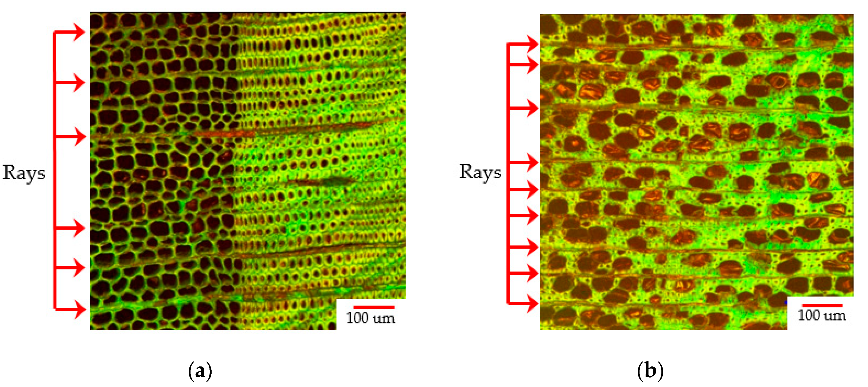 Forests 11 00551 g006