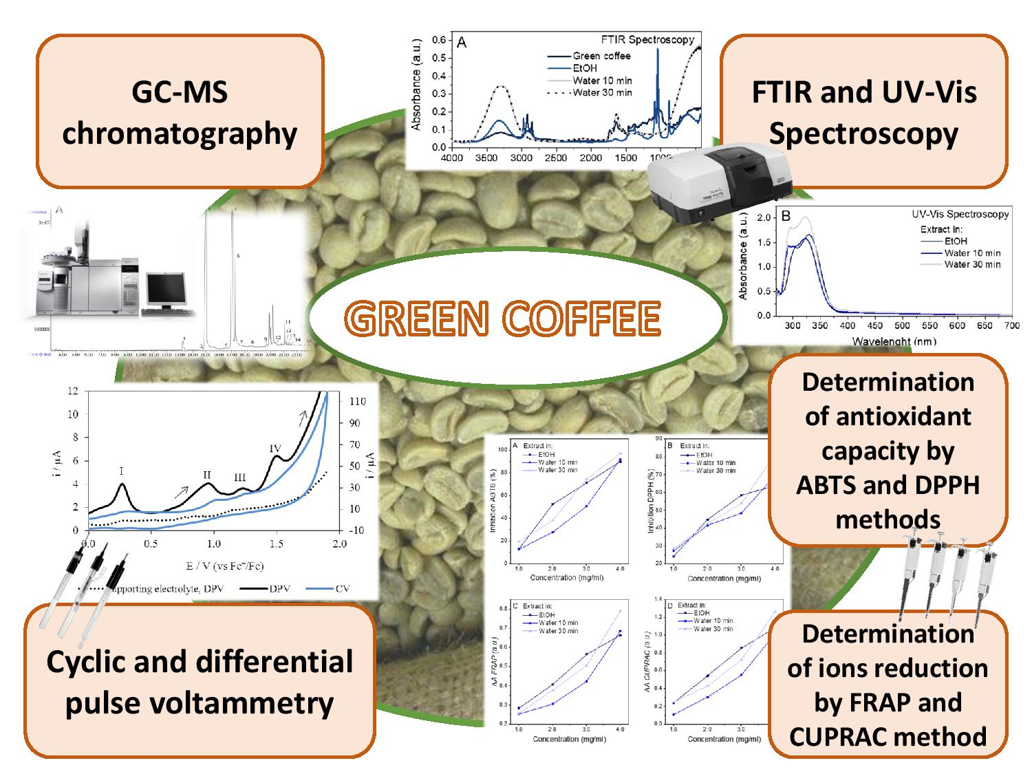 Forests Free Full Text Antioxidant Properties Of Green Coffee Extract Html