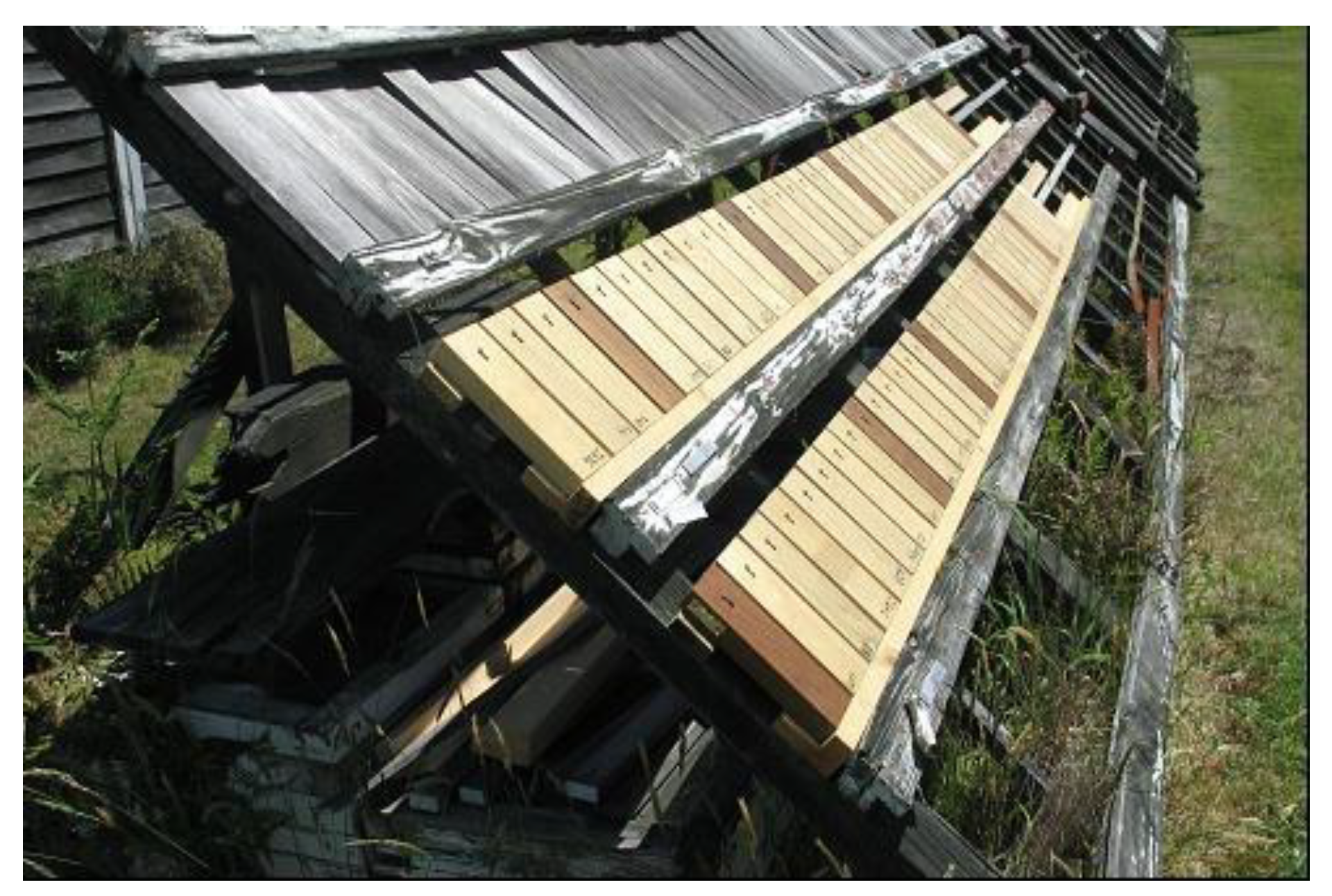 Forests 11 00559 g004