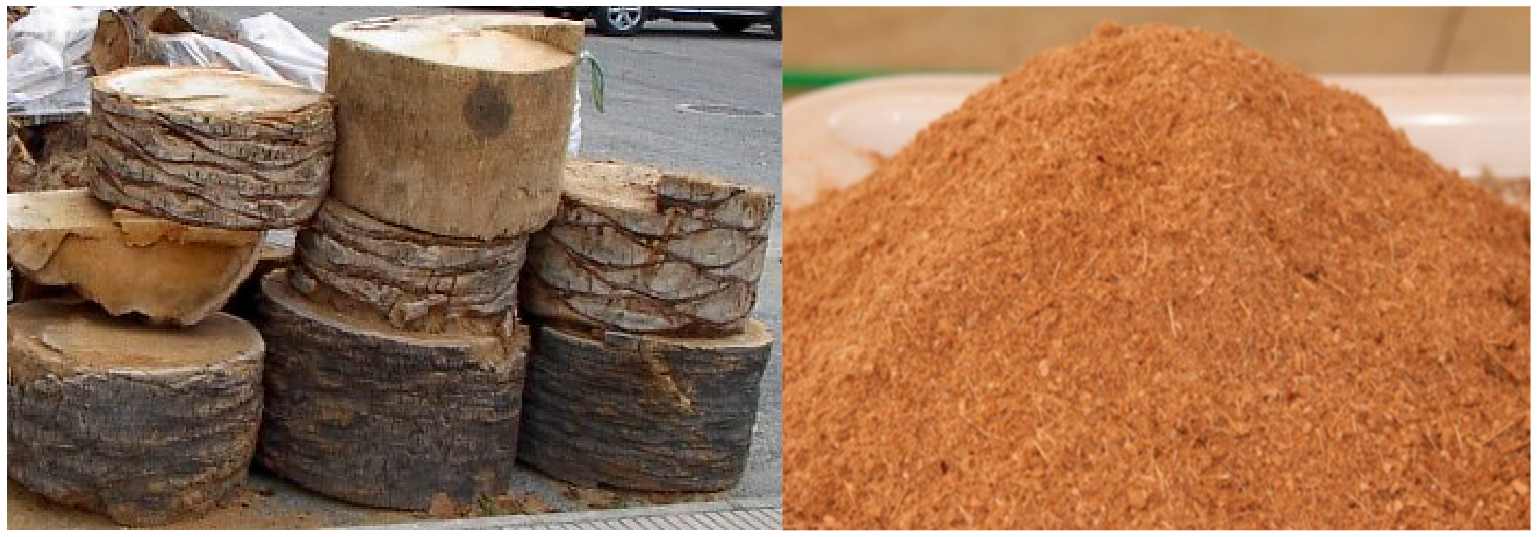 Forests 11 00560 g001 Forests 11 00560 g001