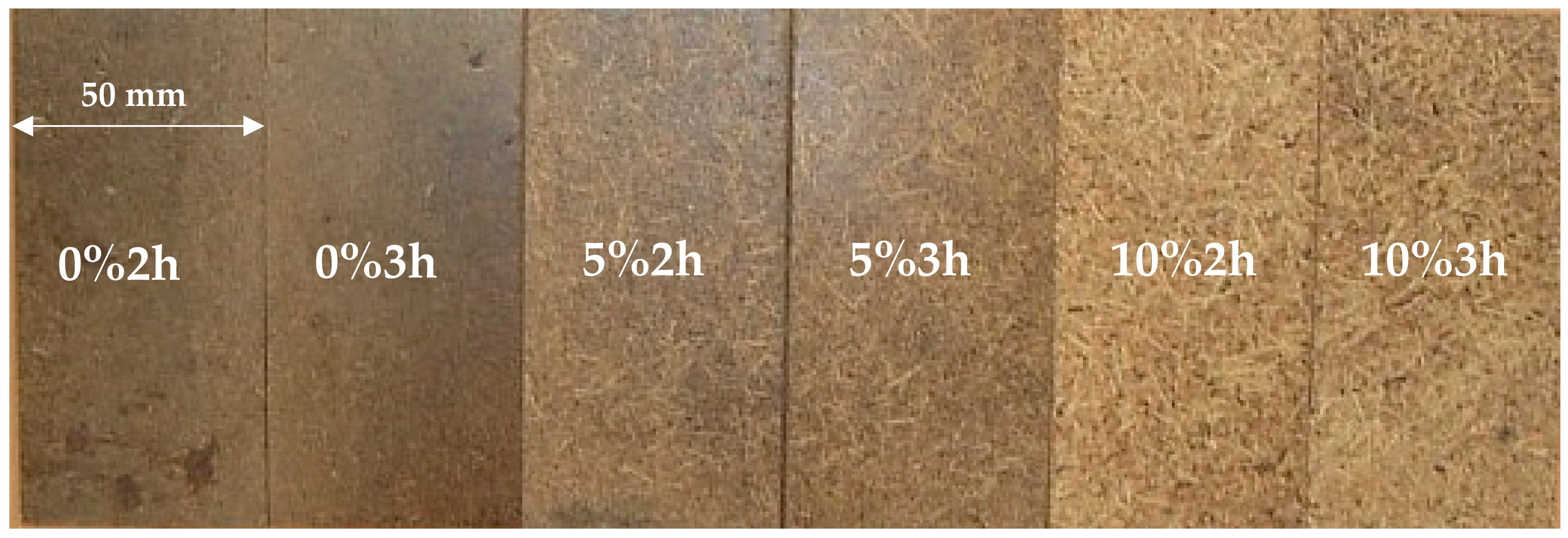 Forests 11 00560 g002 Forests 11 00560 g002