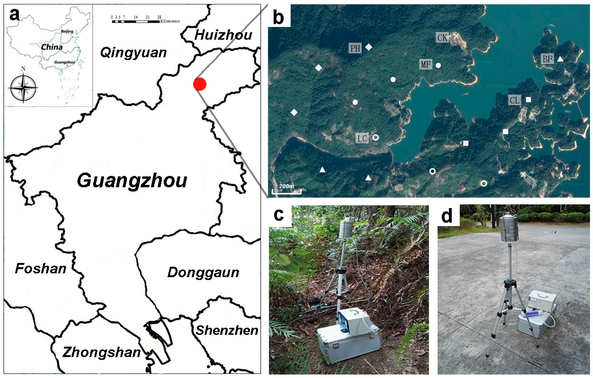 Forests 11 00561 g001 Forests 11 00561 g001