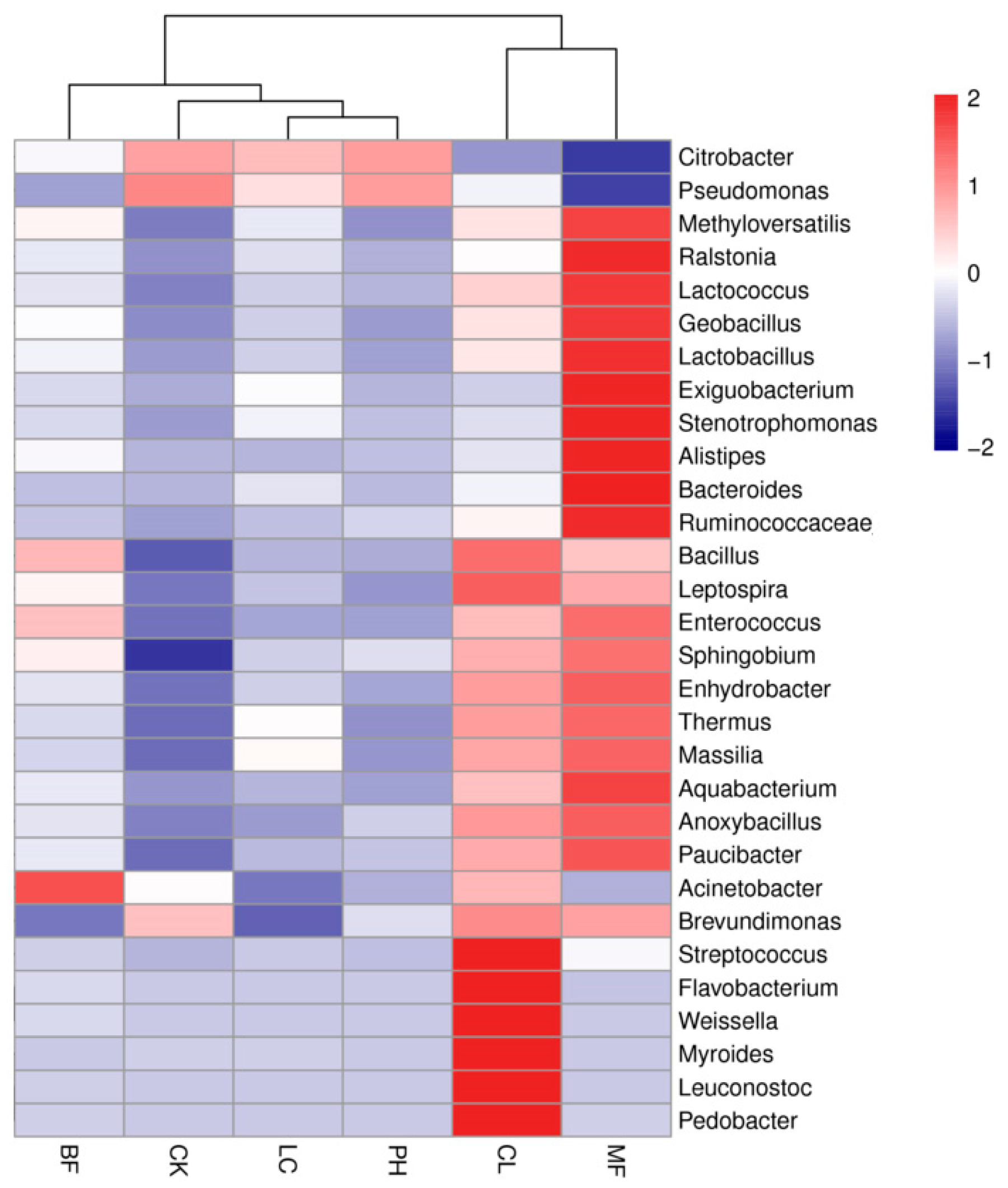 Forests 11 00561 g004 Forests 11 00561 g004