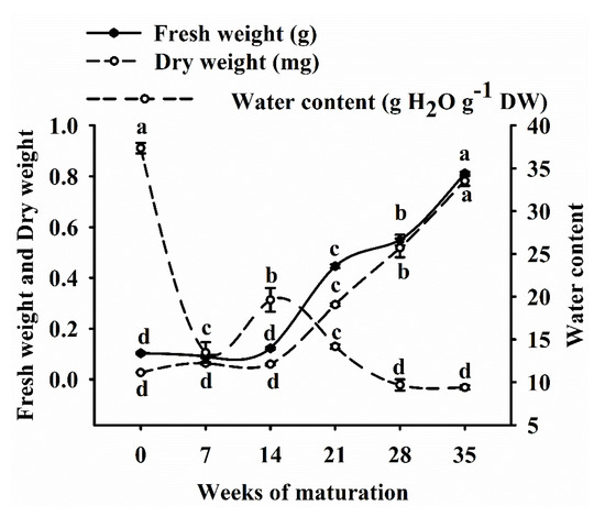 Forests Free Full Text Physiological And Biochemical Traits In Korean Pine Somatic Embryogenesis Html Forests Free Full Text Physiological And Biochemical Traits In Korean Pine Somatic Embryogenesis Html