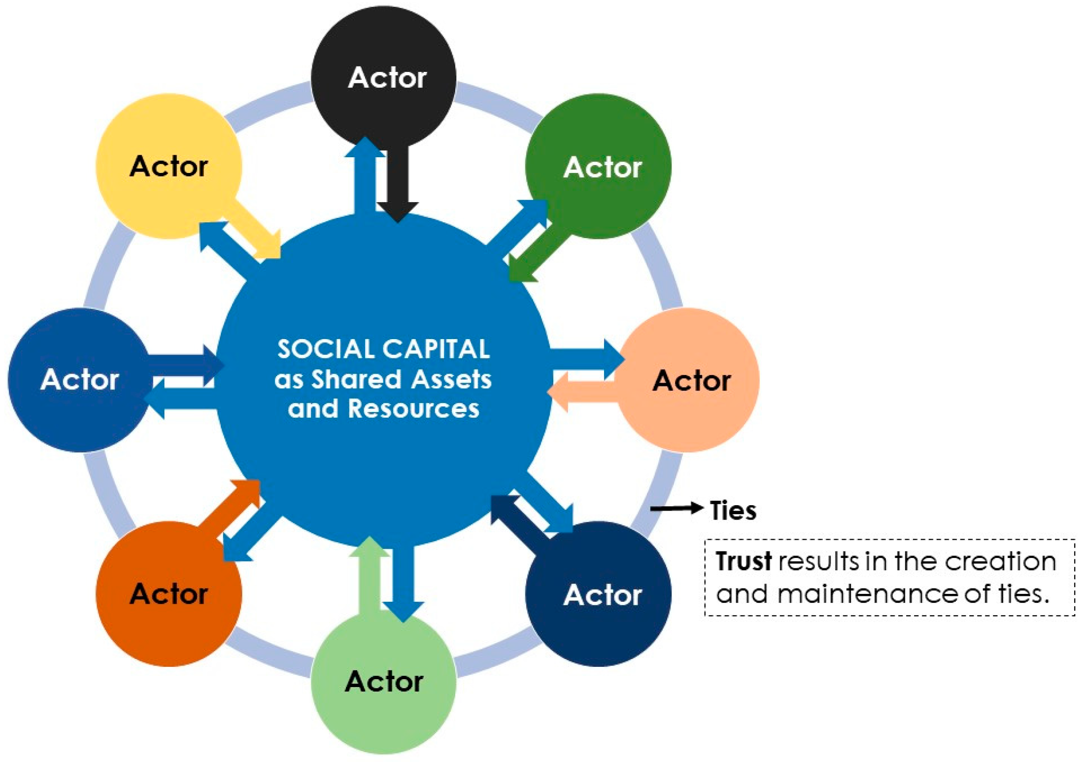 Forests 11 00580 g002