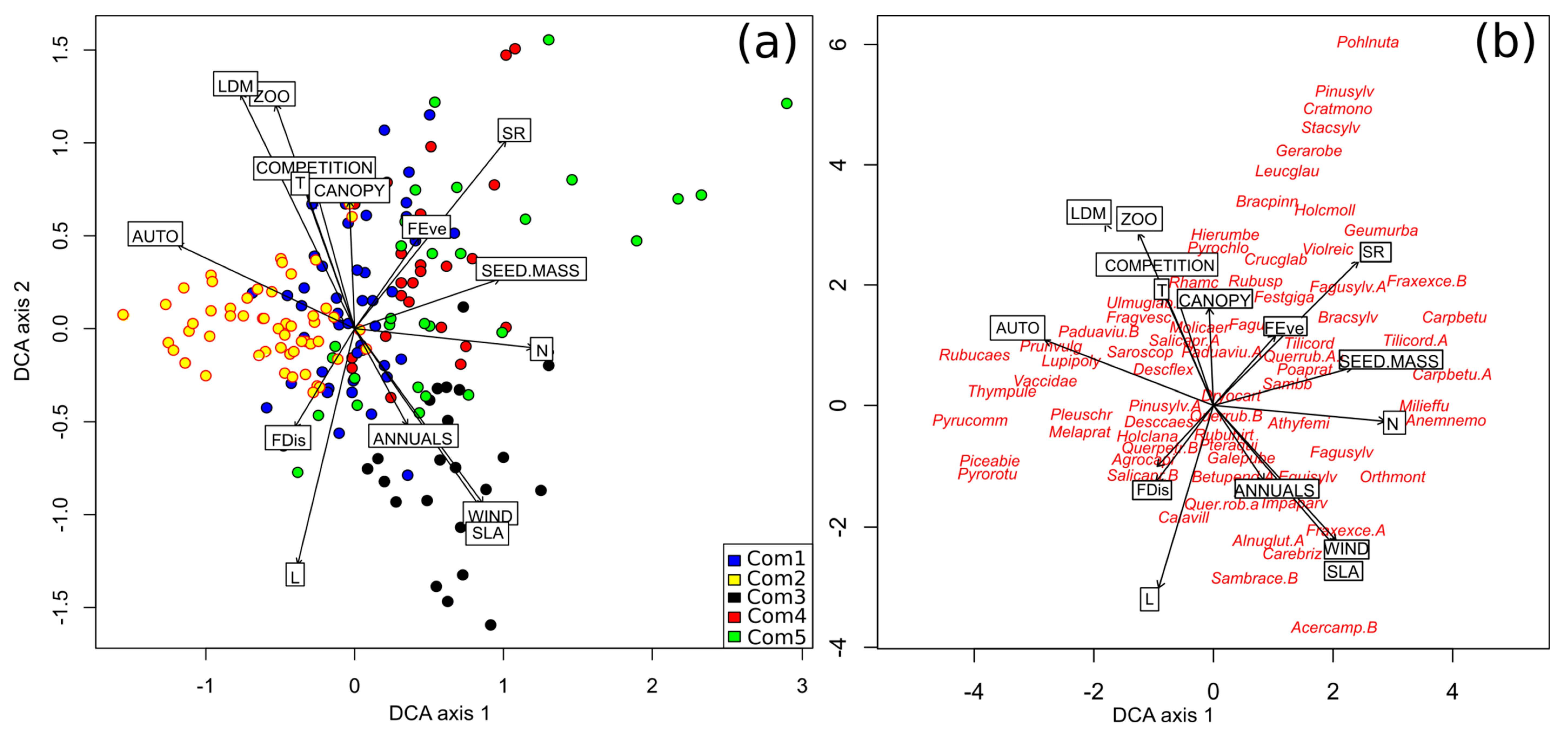 Forests 11 00586 g004 Forests 11 00586 g004