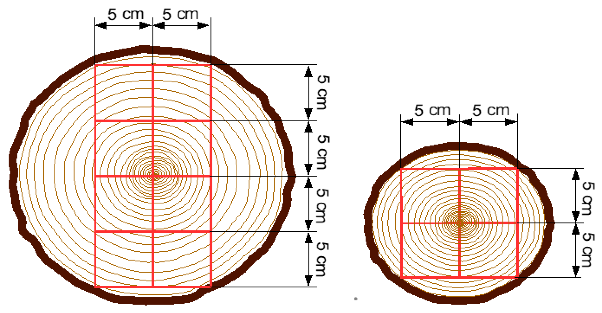 Forests 11 00587 g001