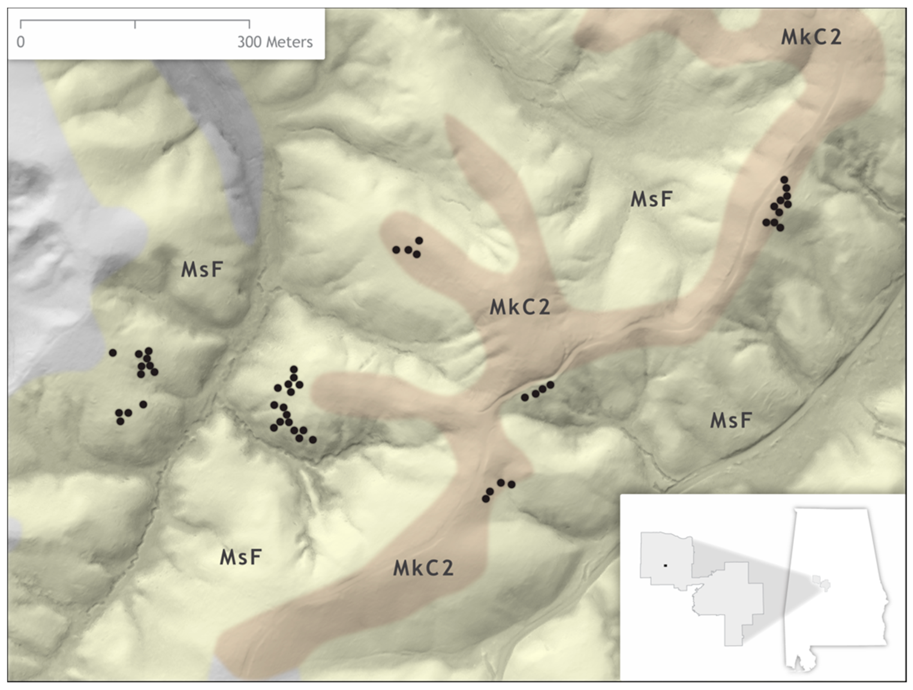 Forests 11 00588 g001 Forests 11 00588 g001