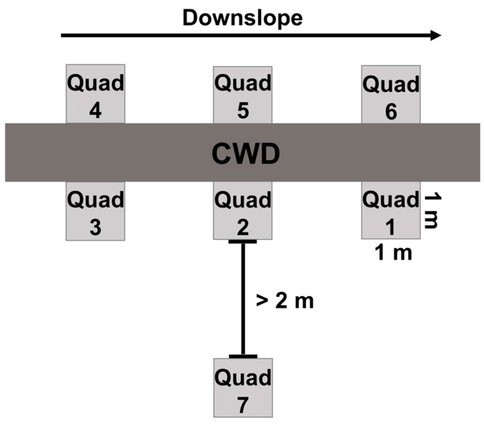 Forests 11 00588 g002 Forests 11 00588 g002