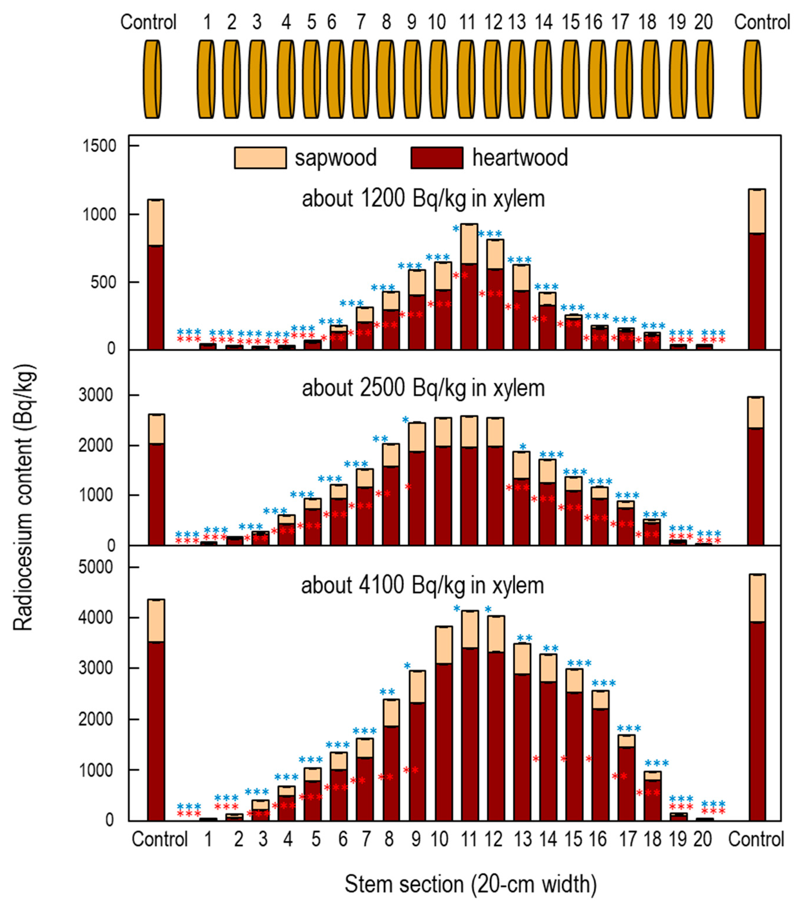 Forests 11 00589 g002