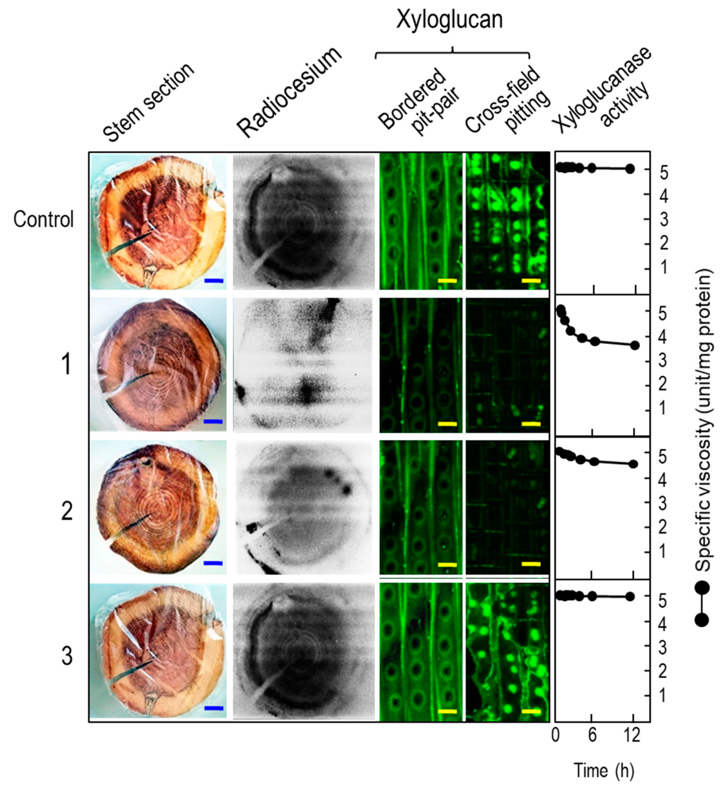Forests 11 00589 g003