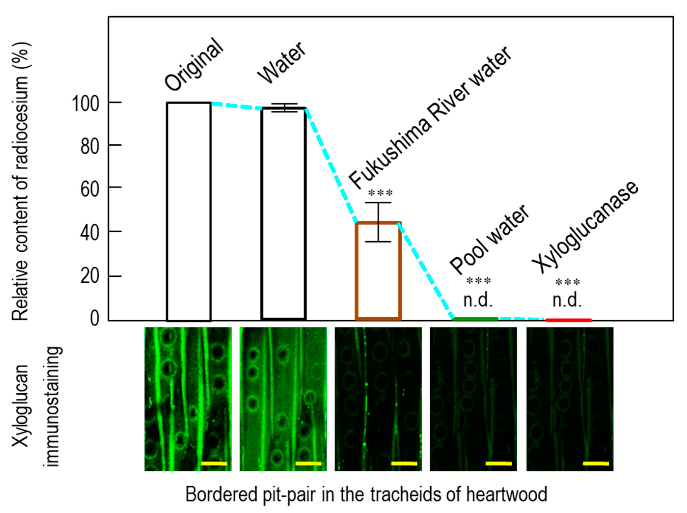 Forests 11 00589 g004