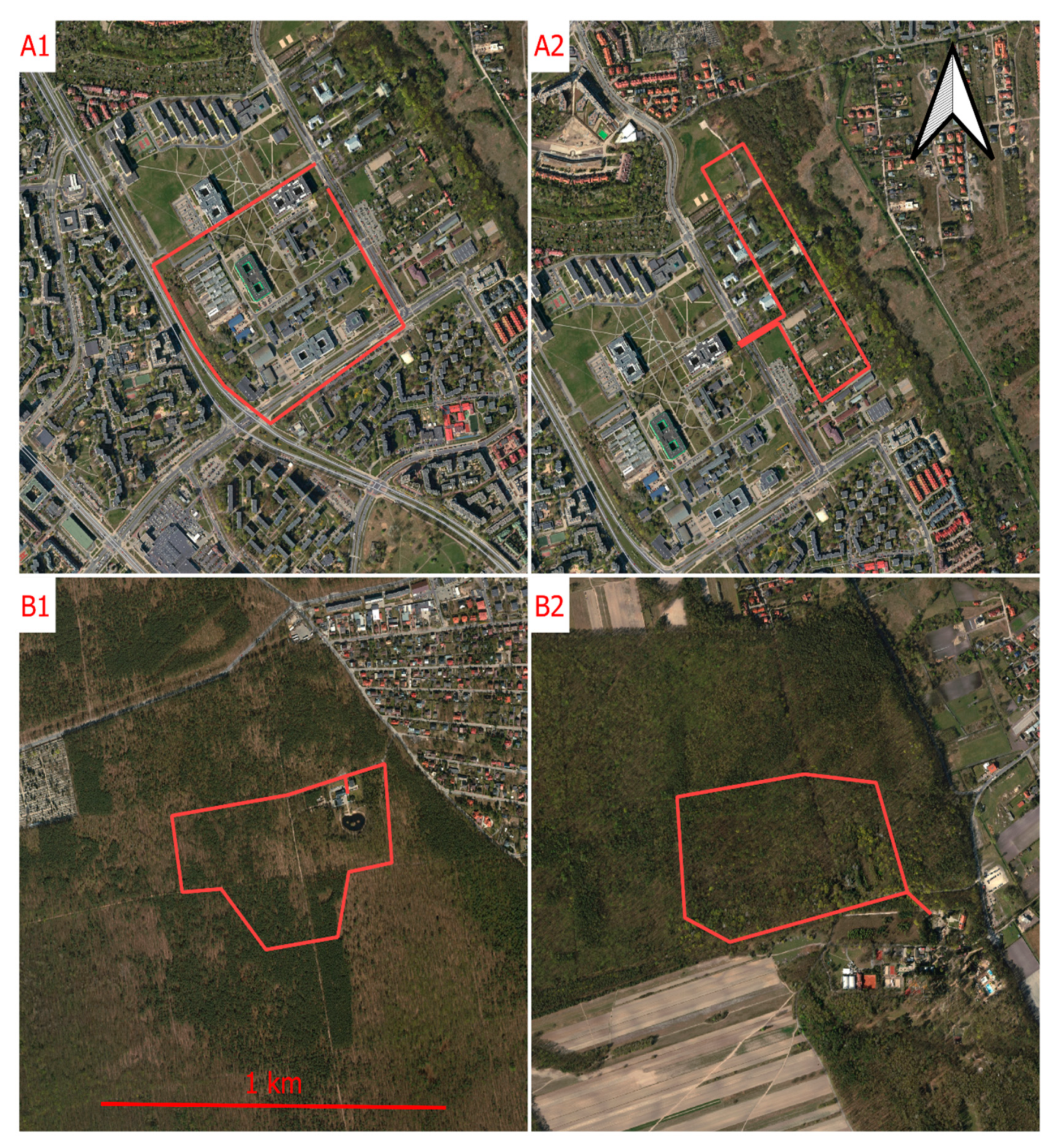 Forests 11 00591 g001 Forests 11 00591 g001