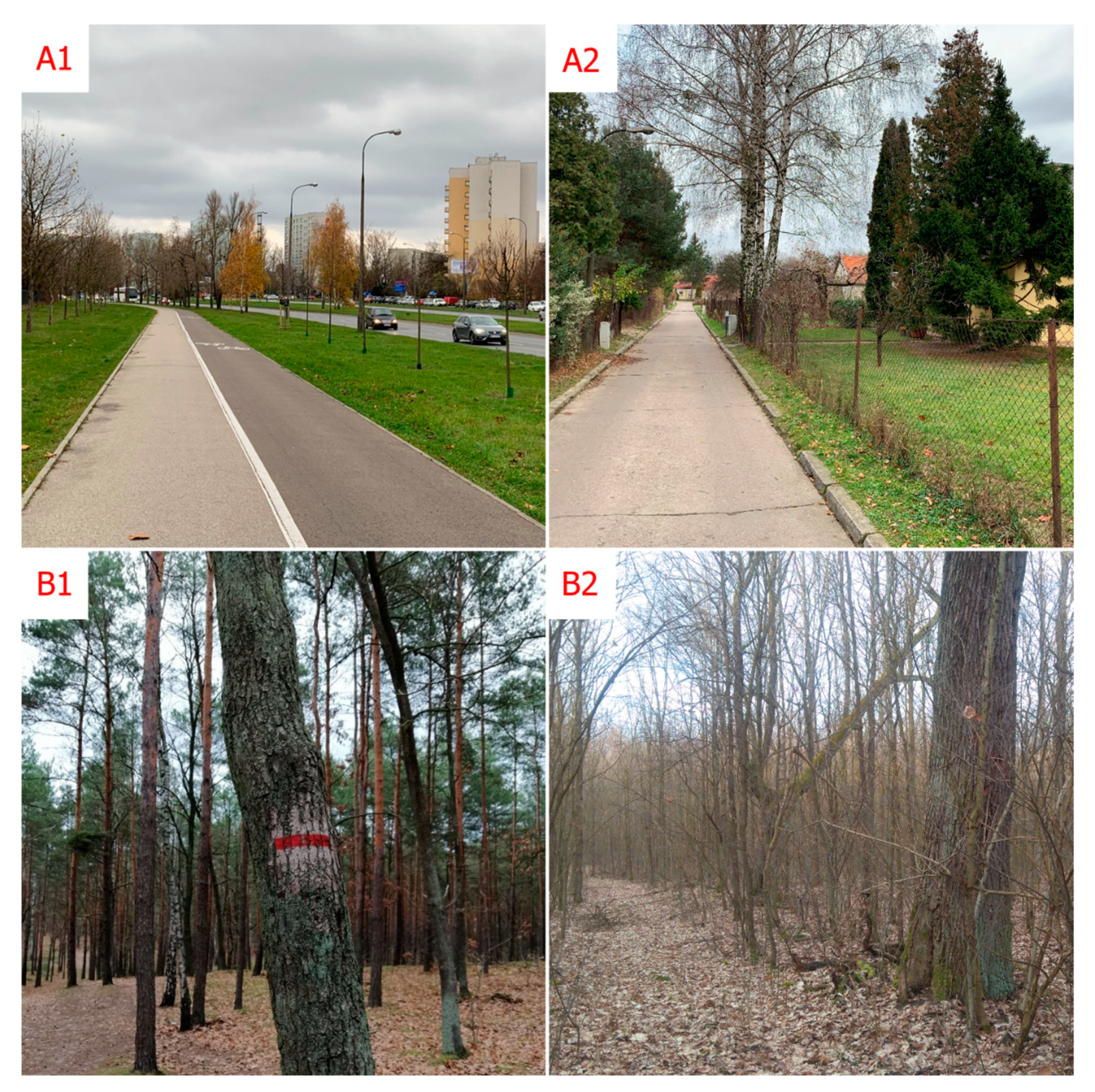 Forests 11 00591 g002 Forests 11 00591 g002